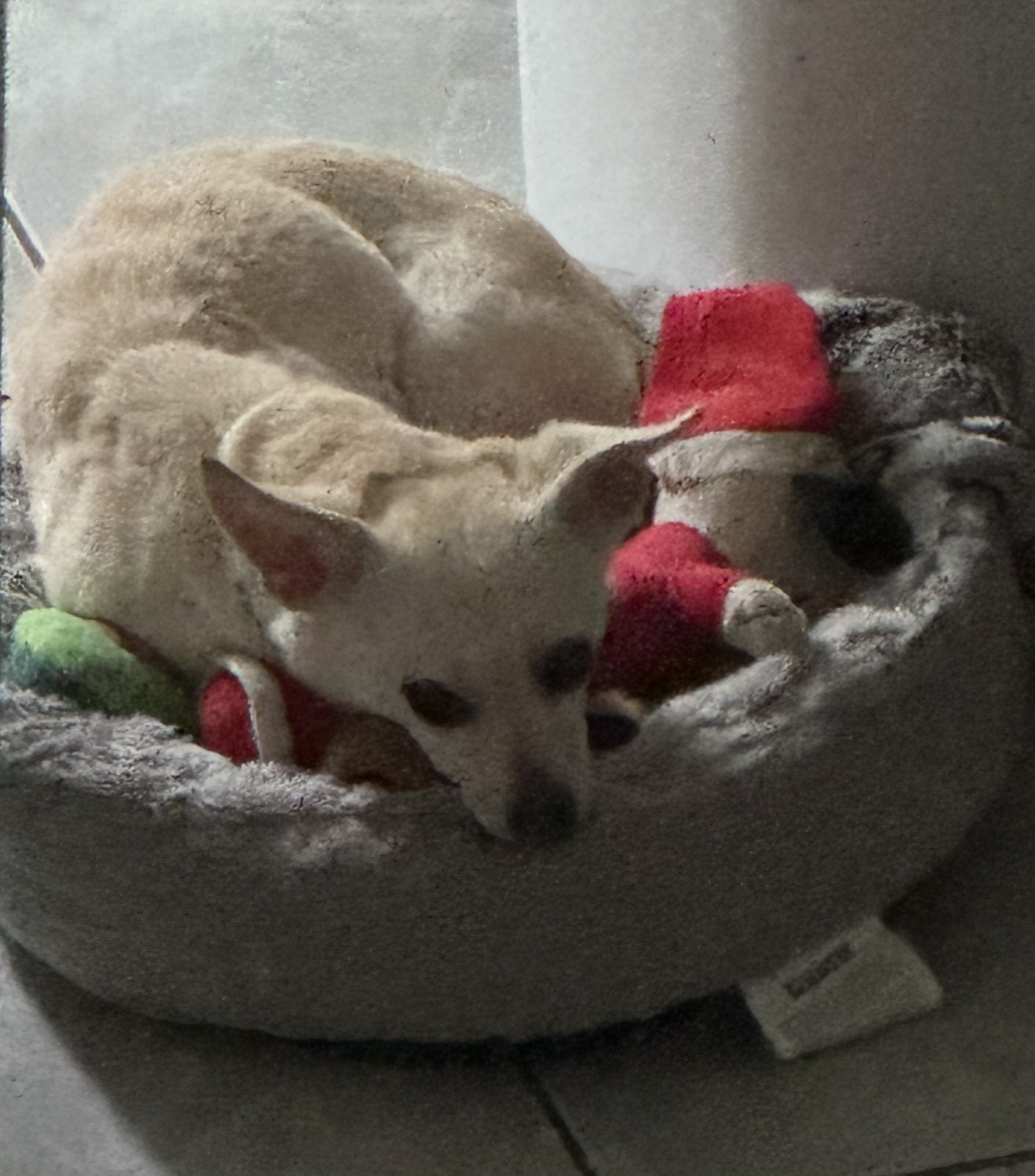 image2 (1).jpeg