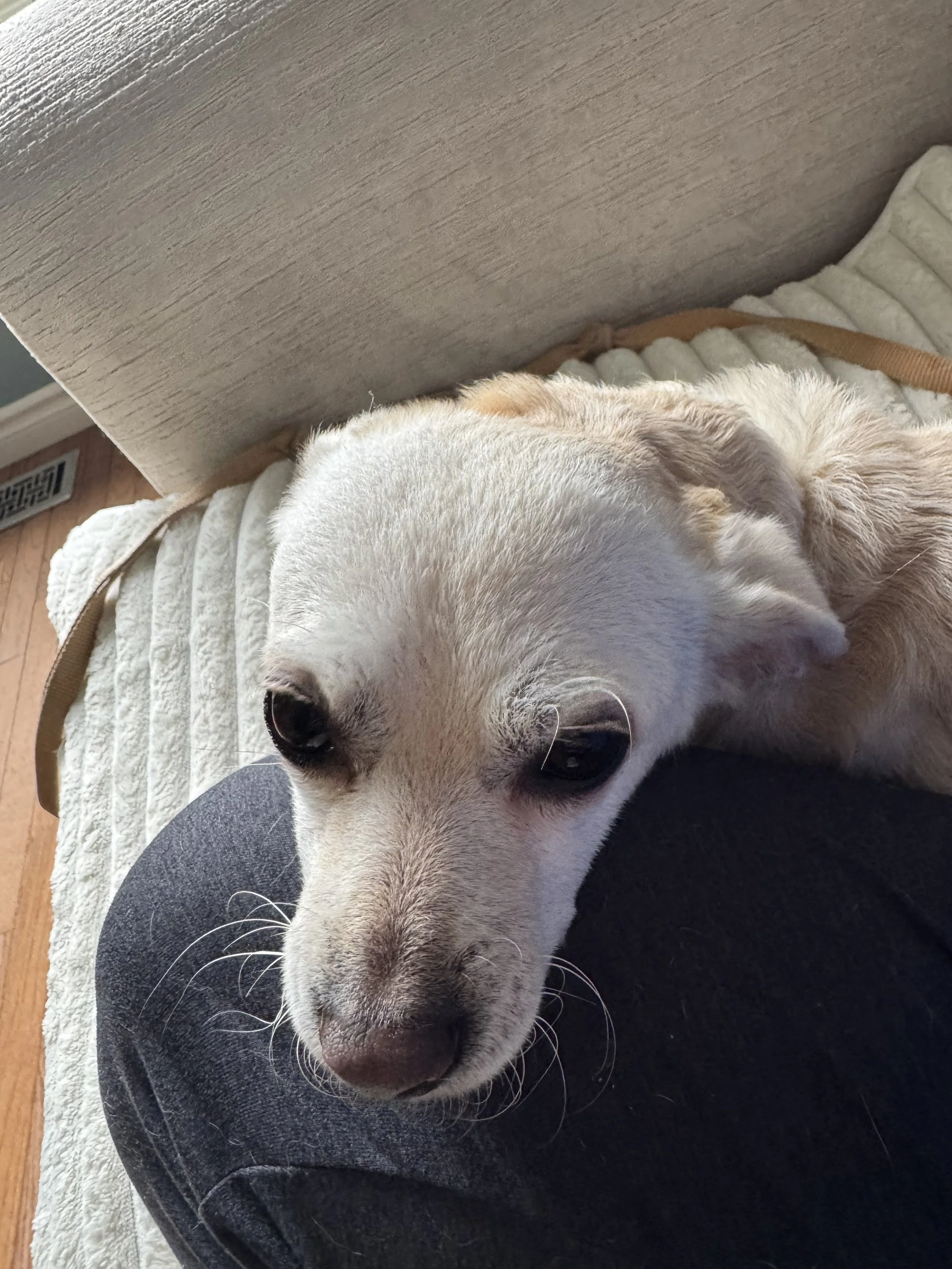image1.jpeg
