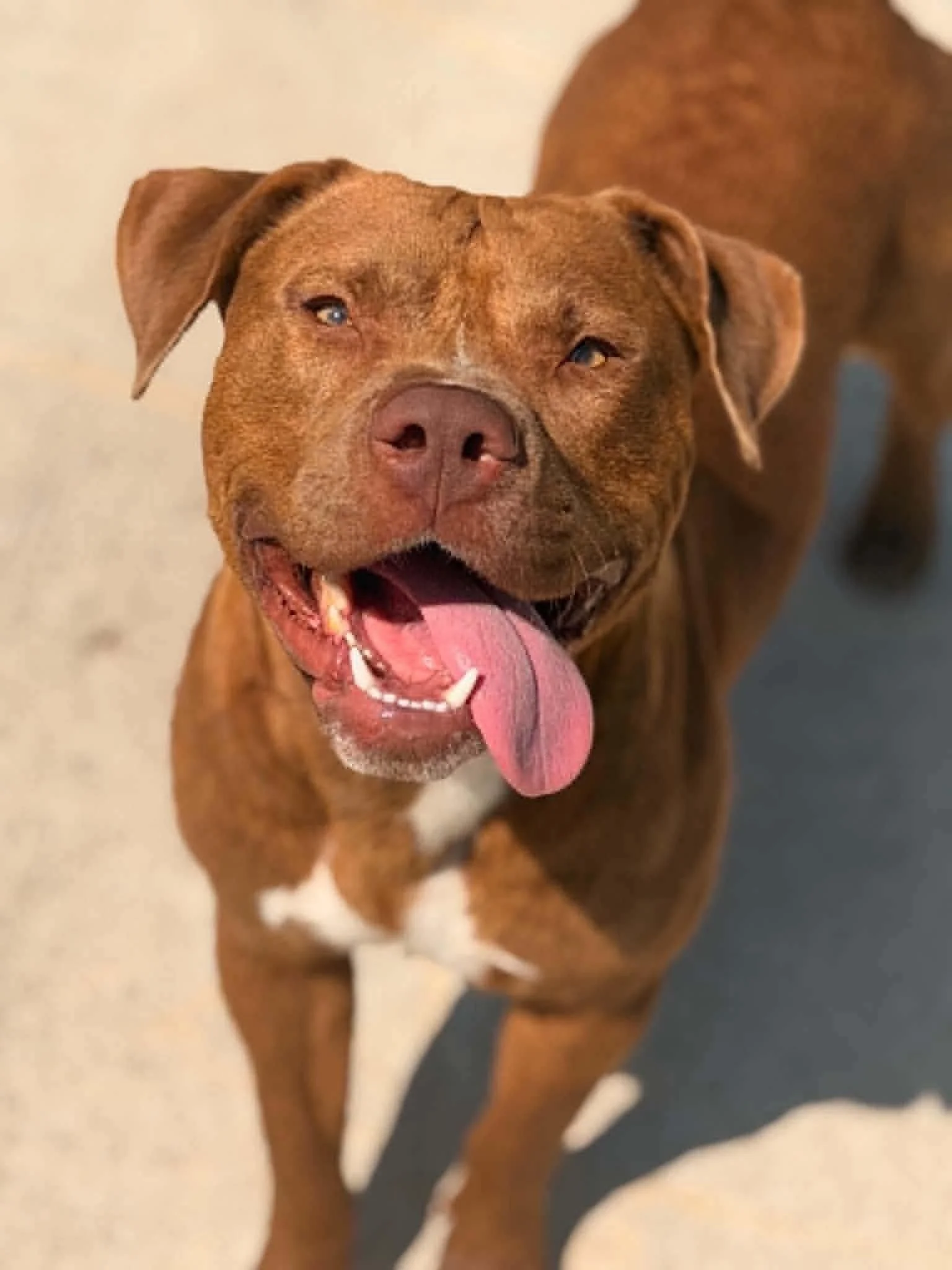 Max