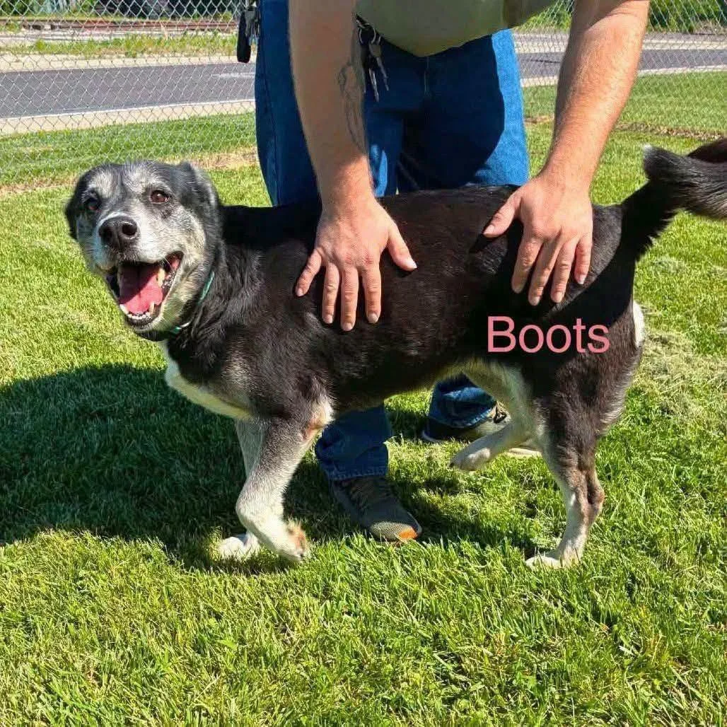 boots2.jpeg