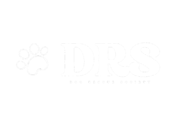 The Dog Rescue Society | Rescue, Adopt & Foster Dogs in Need