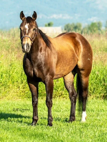 image_50802177 (2).JPG