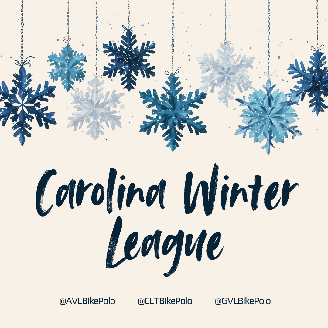What Is the Carolina Winter League?