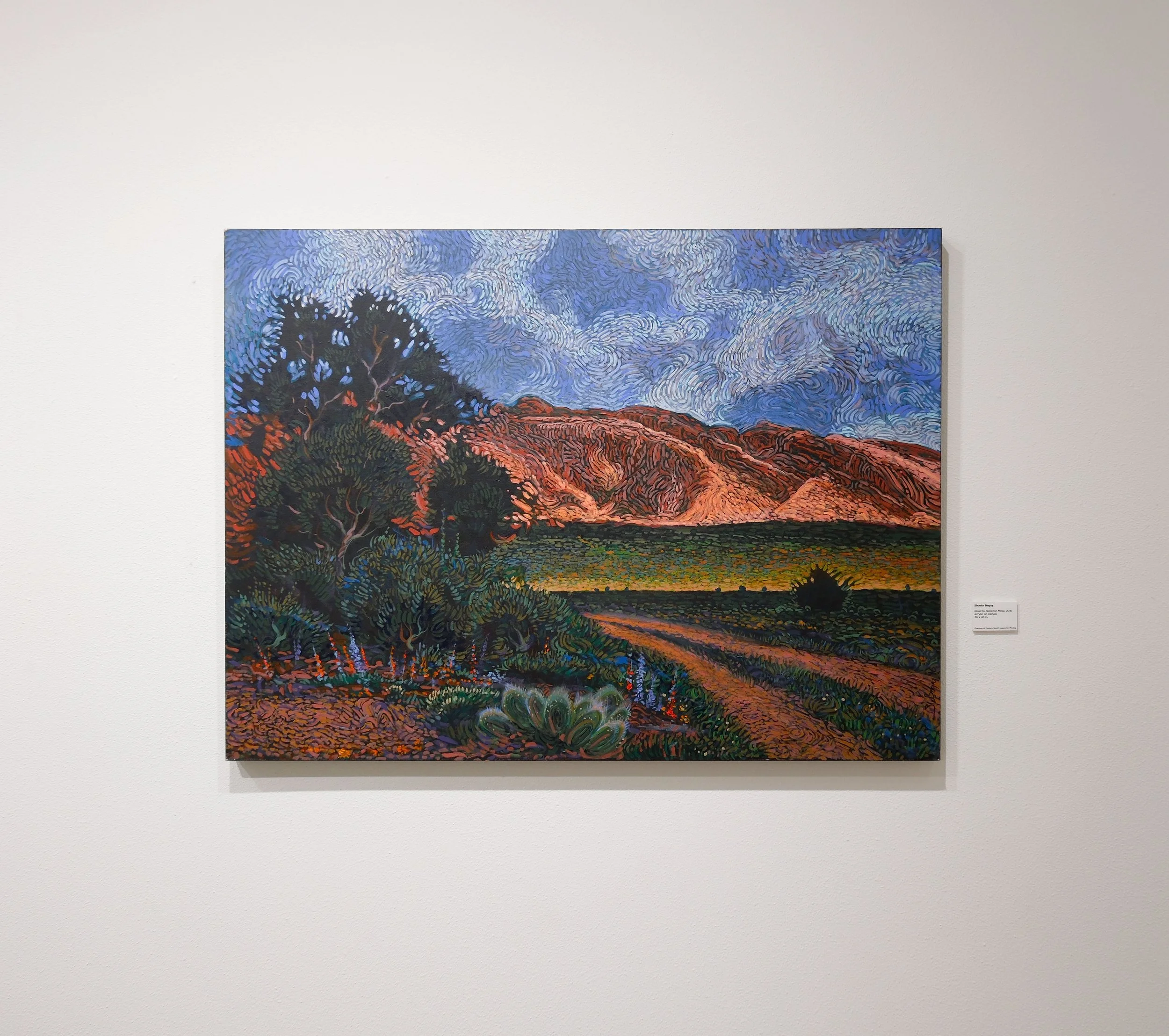 Installation images courtesy of the St. George Museum of Art.