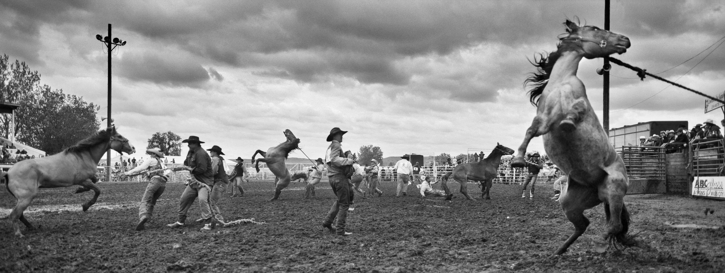 Michael Coles, 'Ballet Melee,' 2015, silver gelatin print, 8.5 x 23 in., $1,000, edition 1 of 5