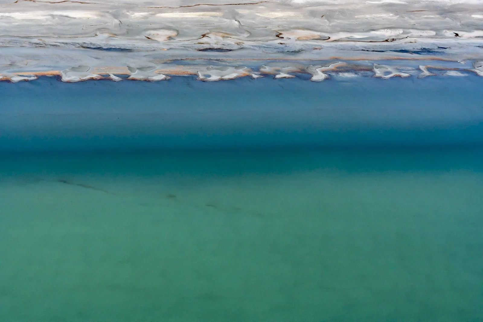 Diane Tuft, 'Metamorphosis,' 2022