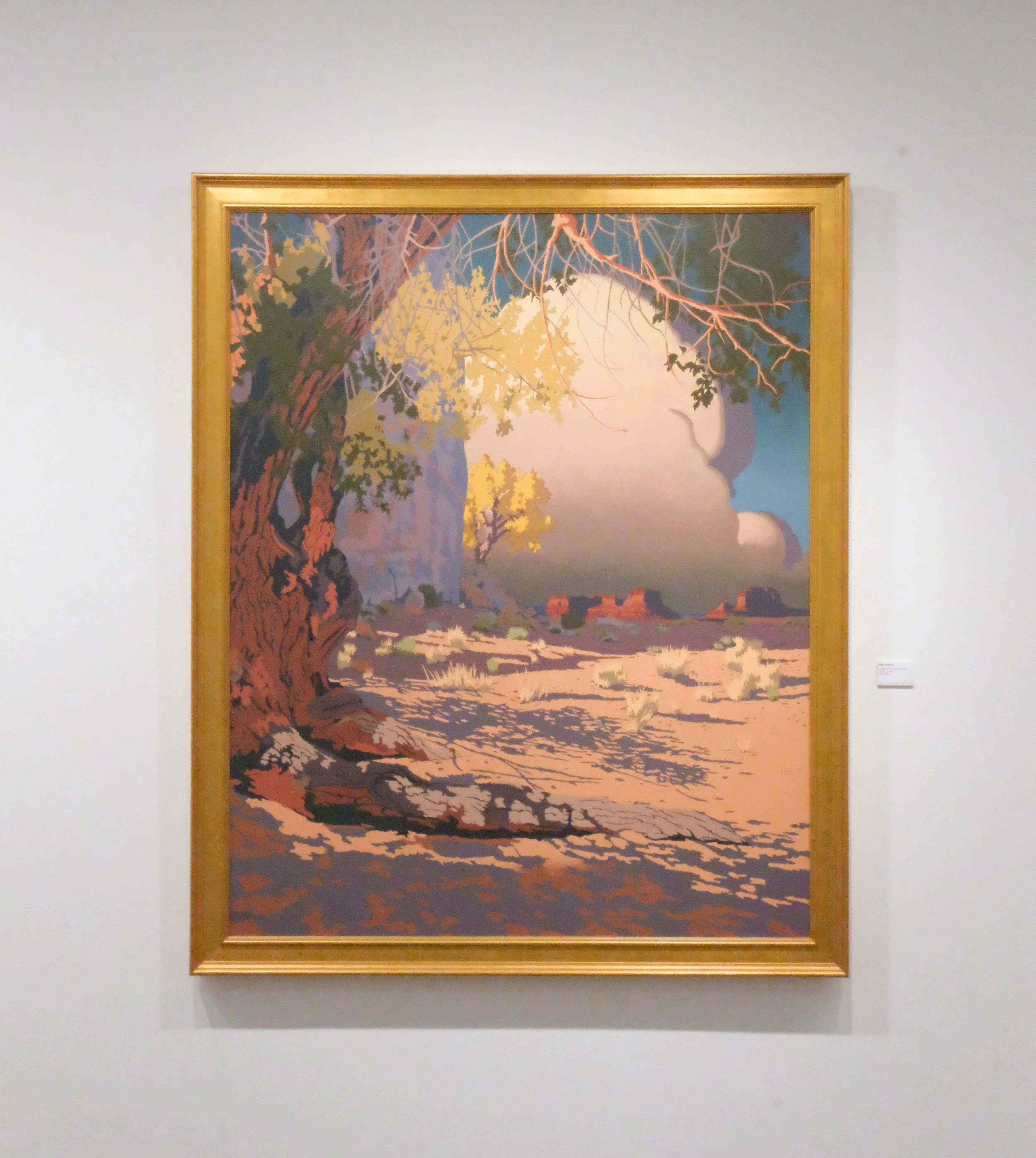 Installation images courtesy of the St. George Museum of Art.