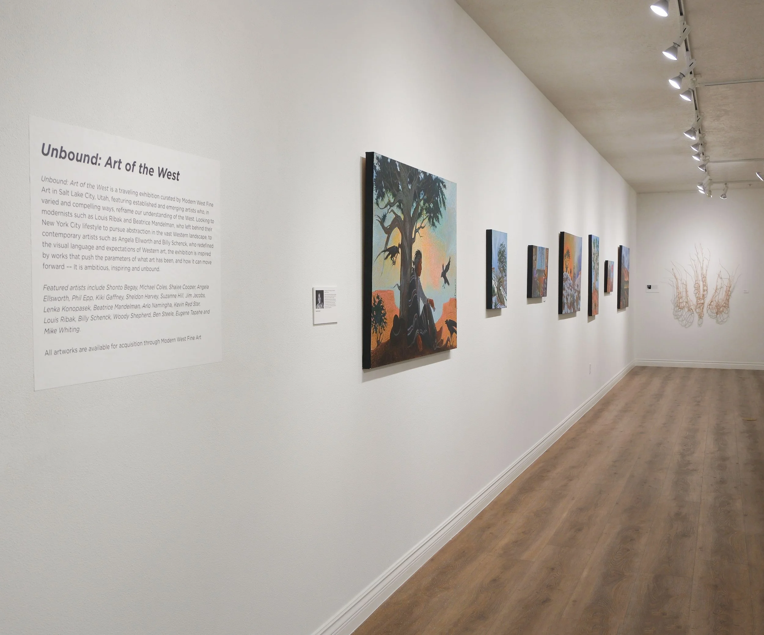 Installation images courtesy of the St. George Museum of Art.