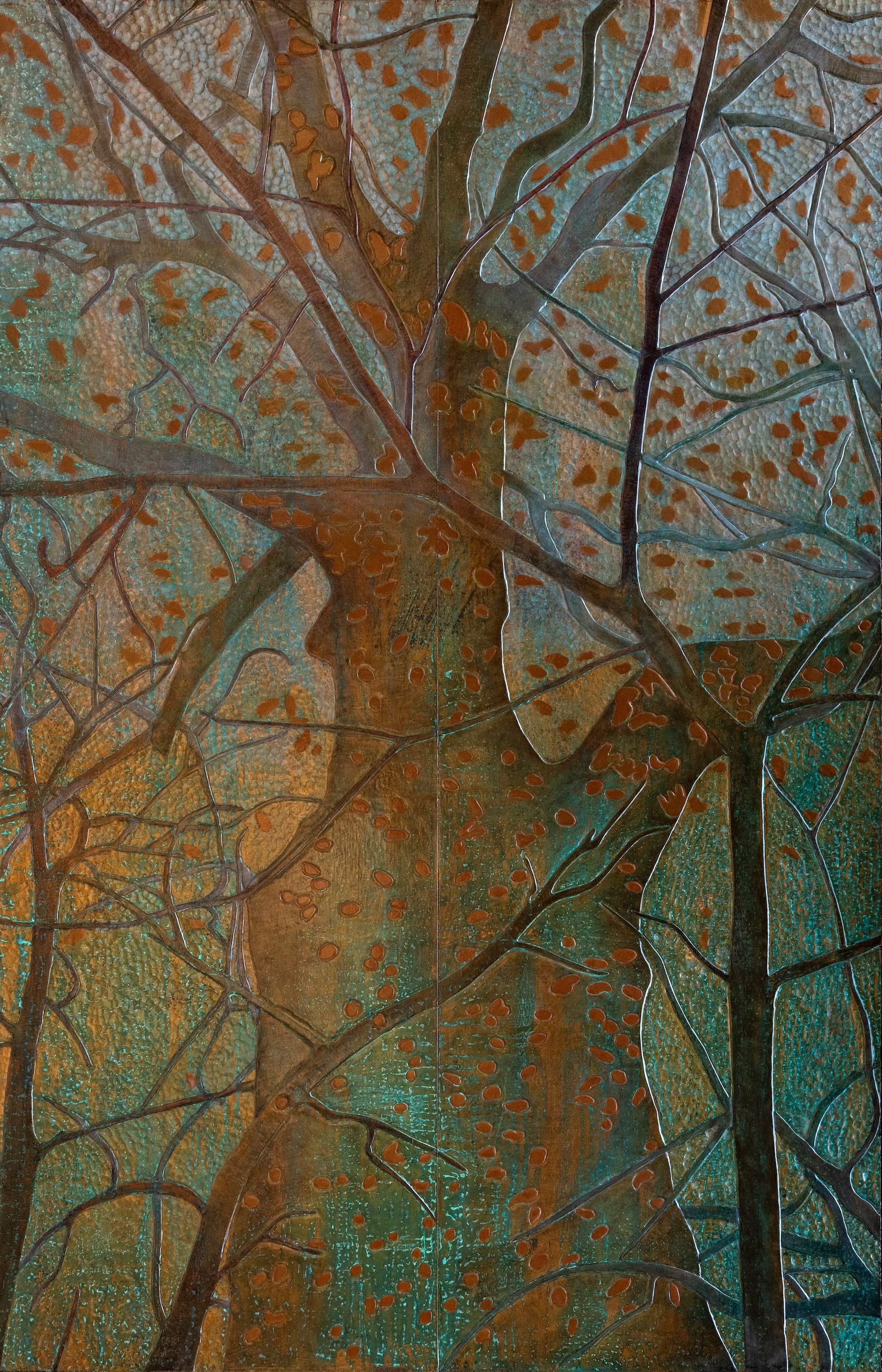 Sycamore