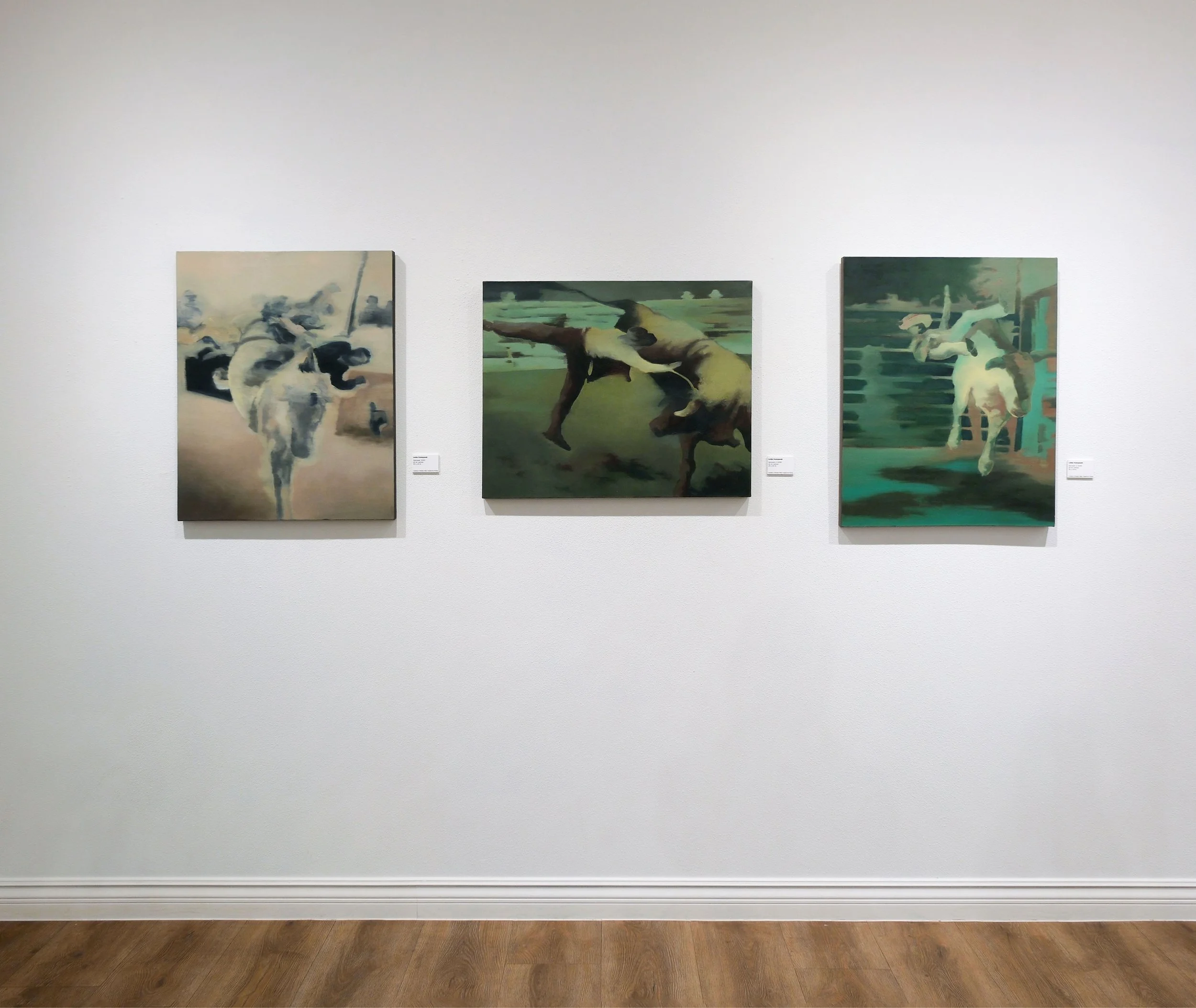 Installation images courtesy of the St. George Museum of Art.