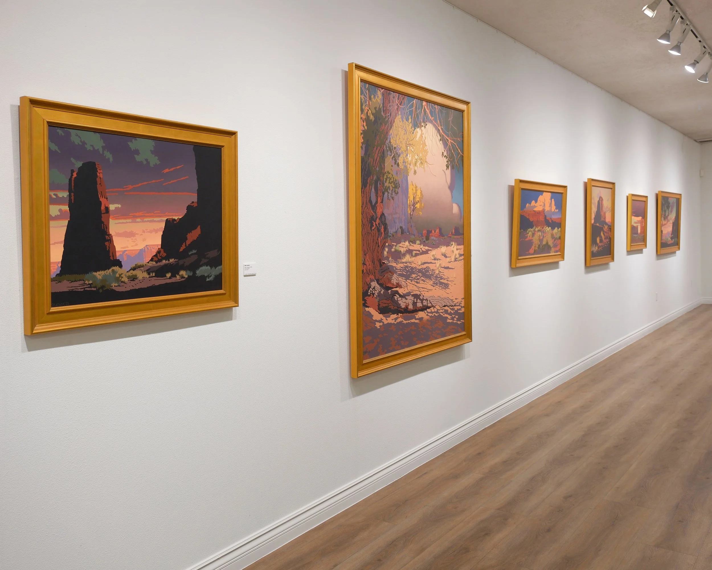 Installation images courtesy of the St. George Museum of Art.