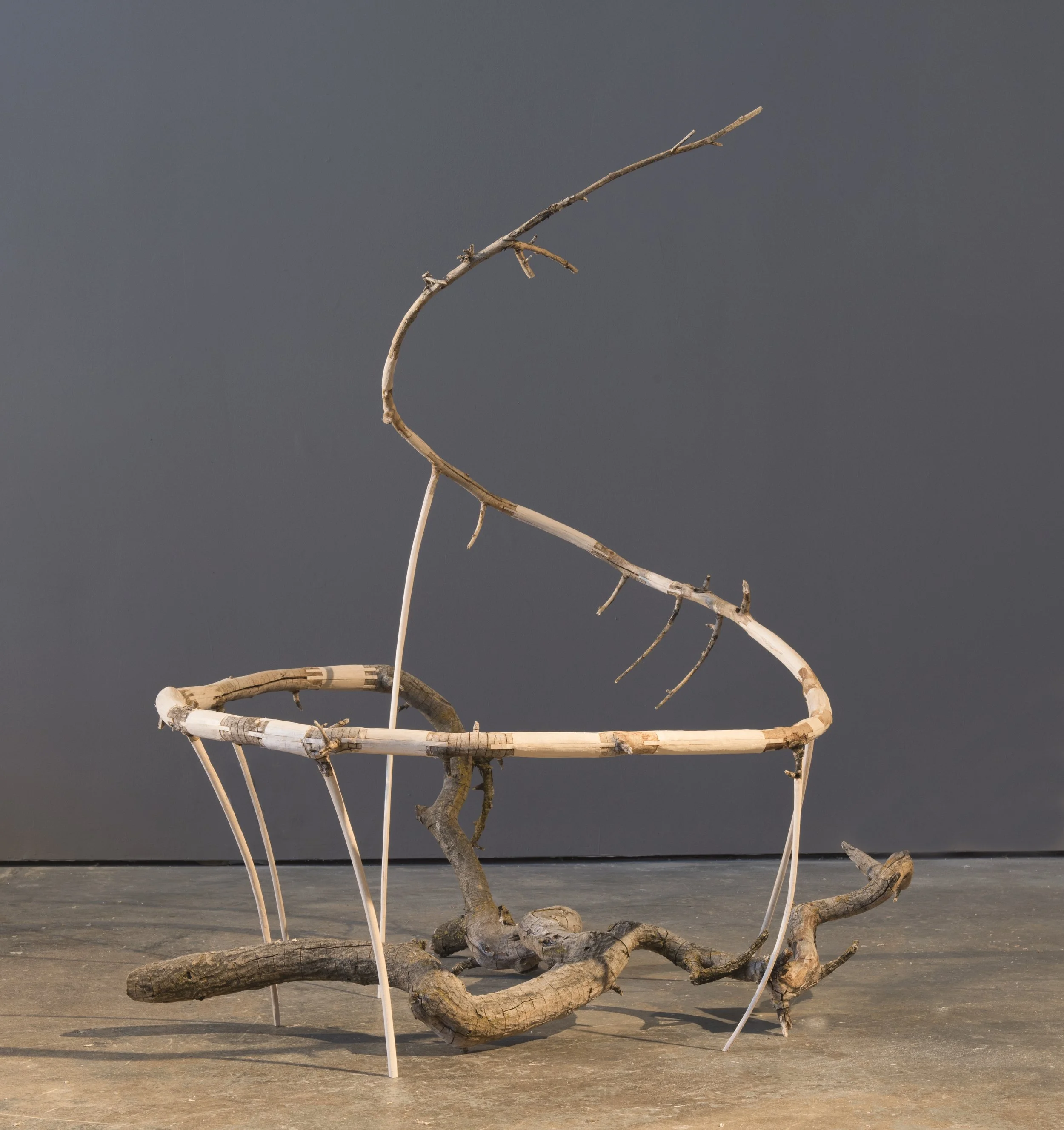 Jim Jacobs | Dead Reckoning, 2019 | mulberry and maple wood | 48 x 40 x 34 in. | $5,400