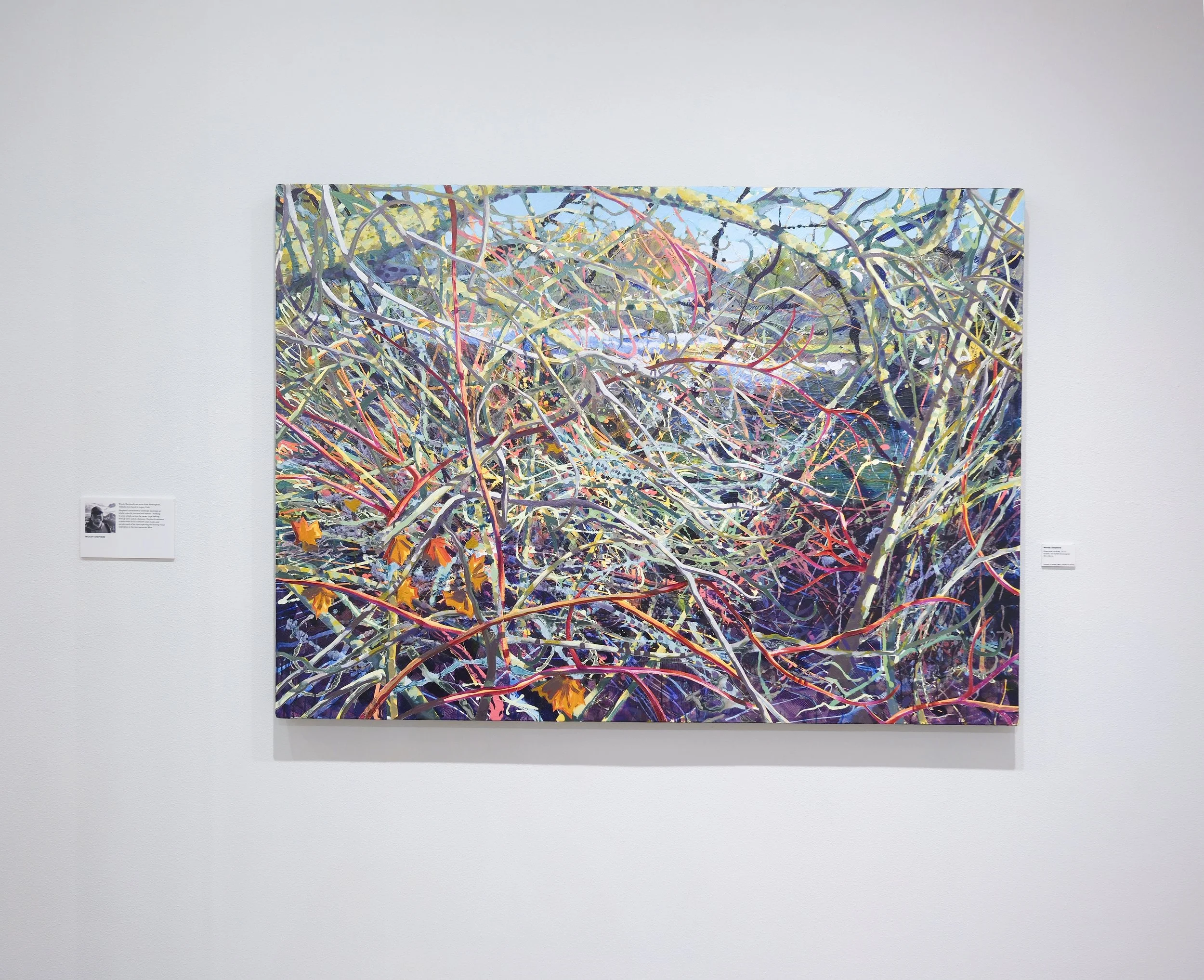 Installation images courtesy of the St. George Museum of Art.