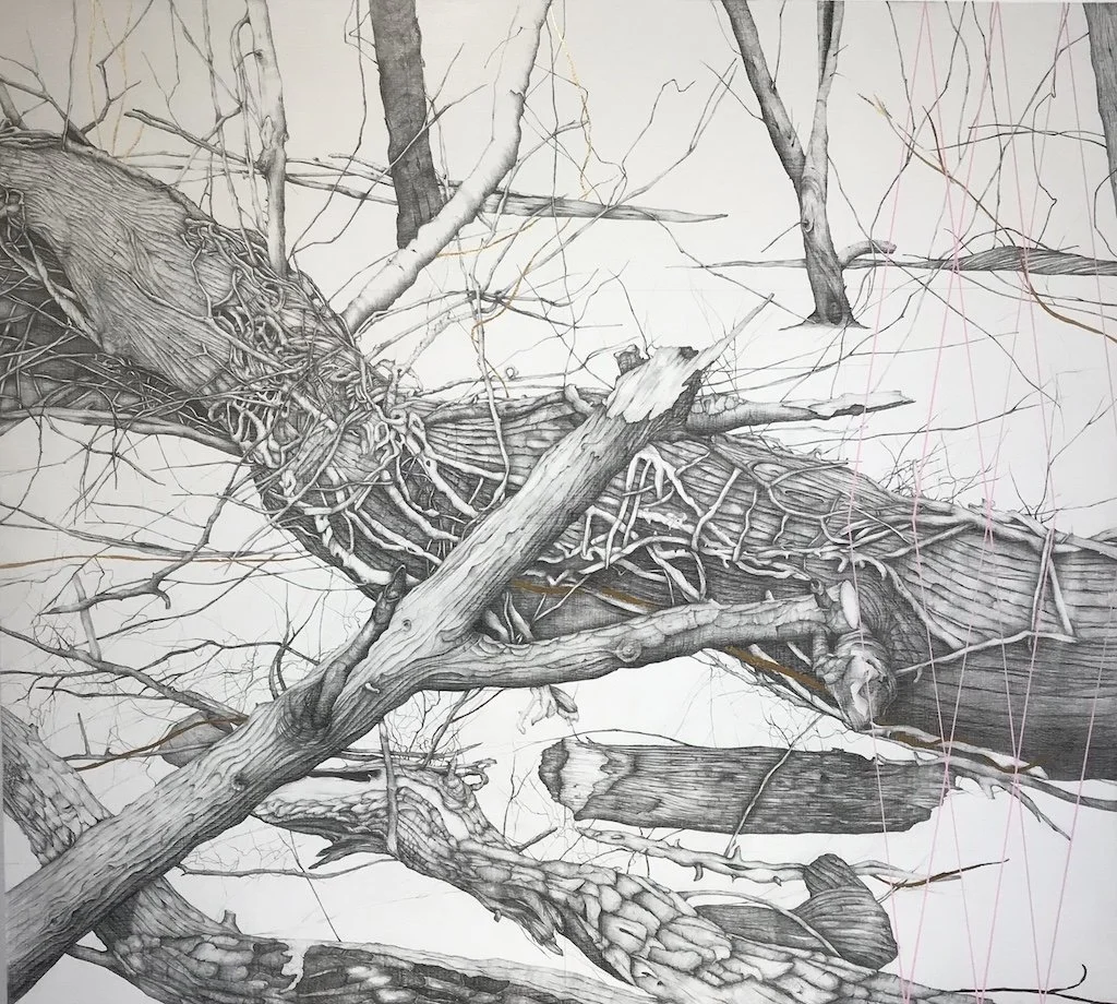 Kiki Gaffney, 'Fallen Trees,' 2020, graphite, gold leaf, flashe, 36 x 40 in., $7,500