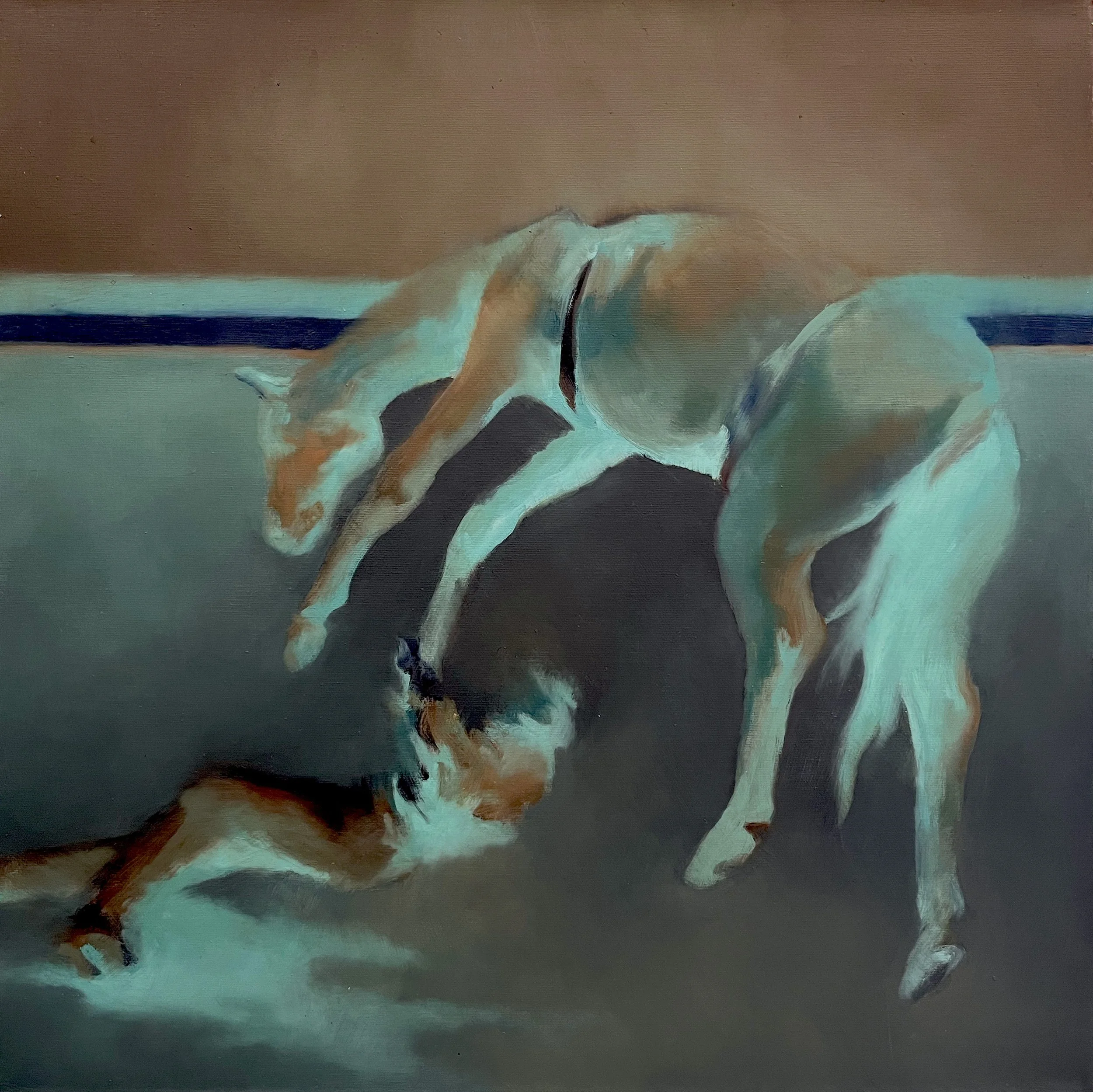 Lenka Konopasek | Bronco 4, 2019 |oil on canvas | 20 × 20 in. | $3,800