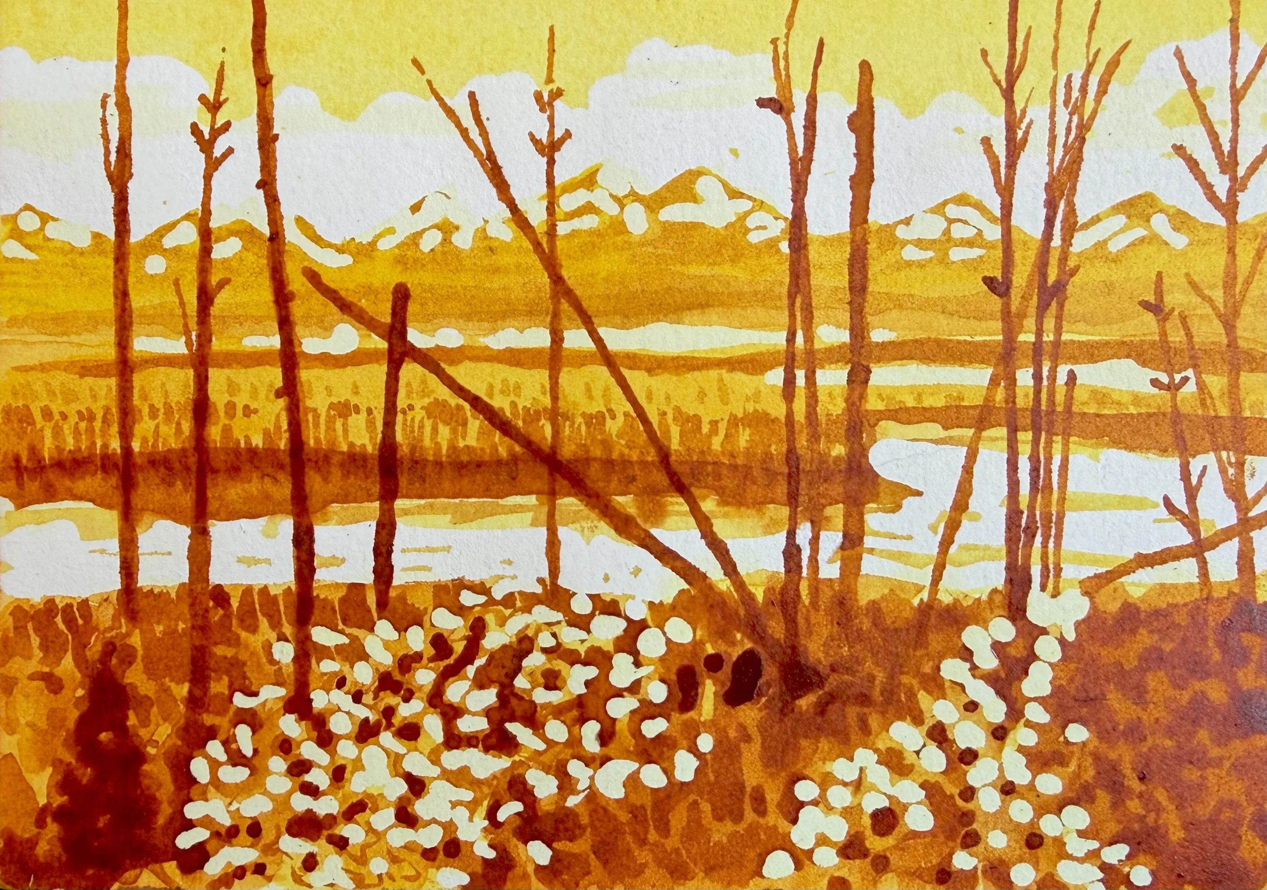 wshe32_Woody Shepherd_Polebridge_2026_ink on paper_5 x 7 in.jpeg
