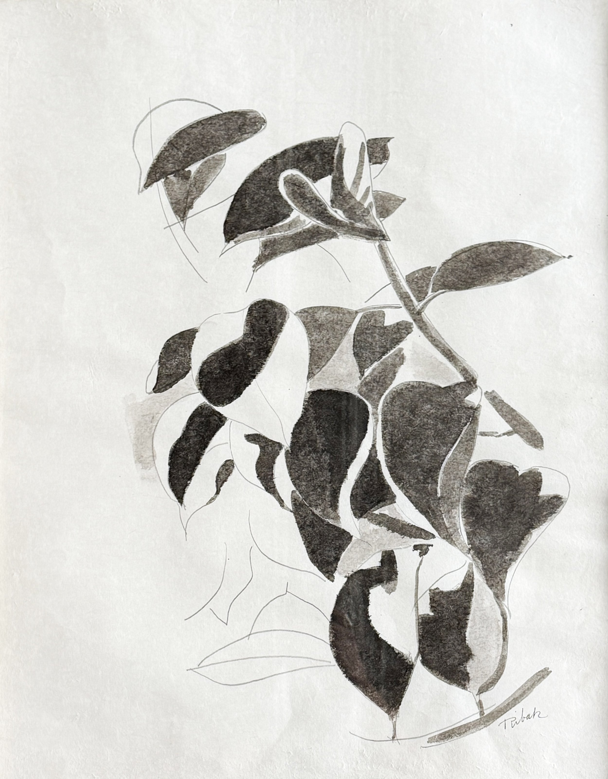 Ribak_Black and White Leaves_2.jpg