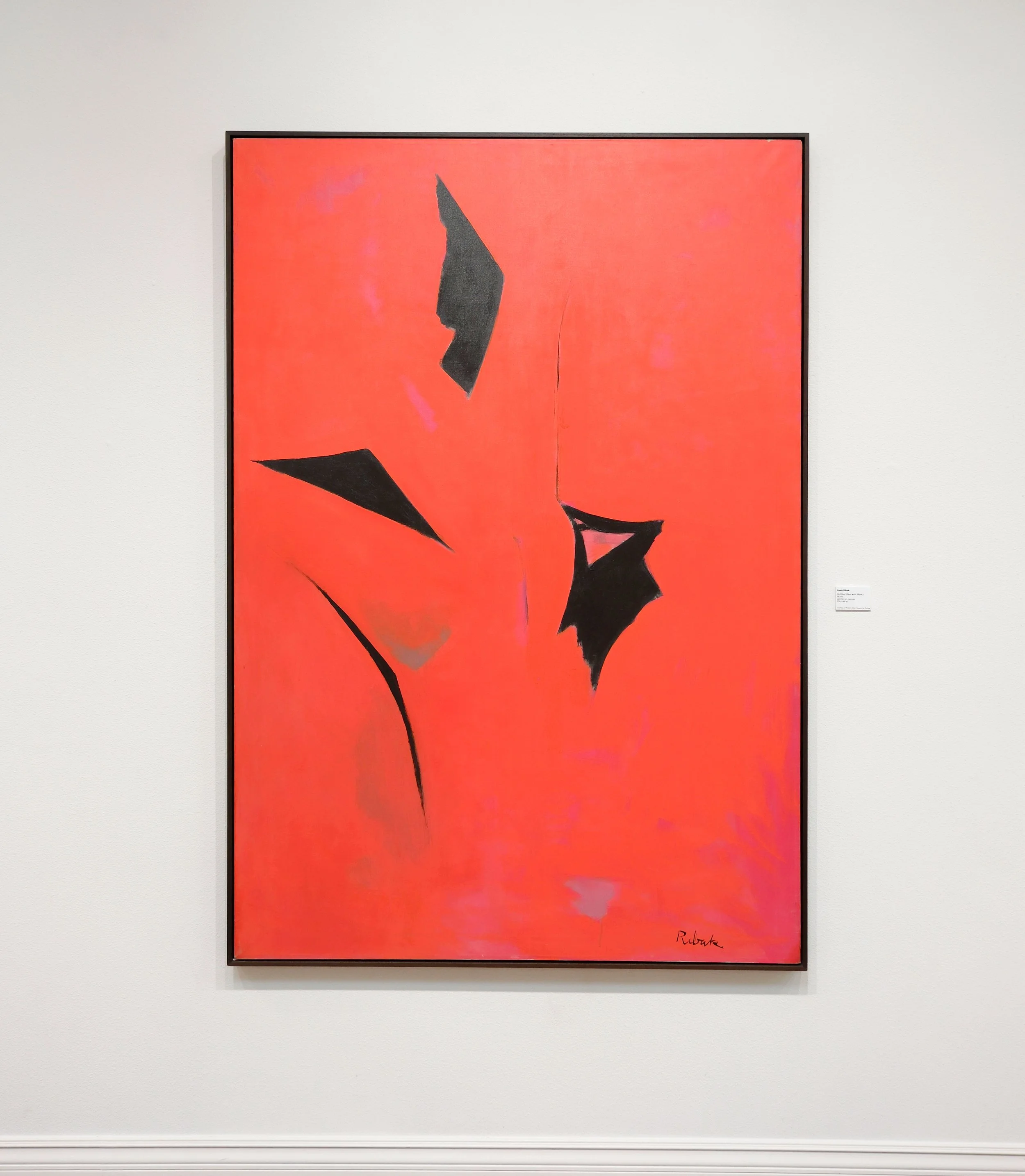 Installation images courtesy of the St. George Museum of Art.