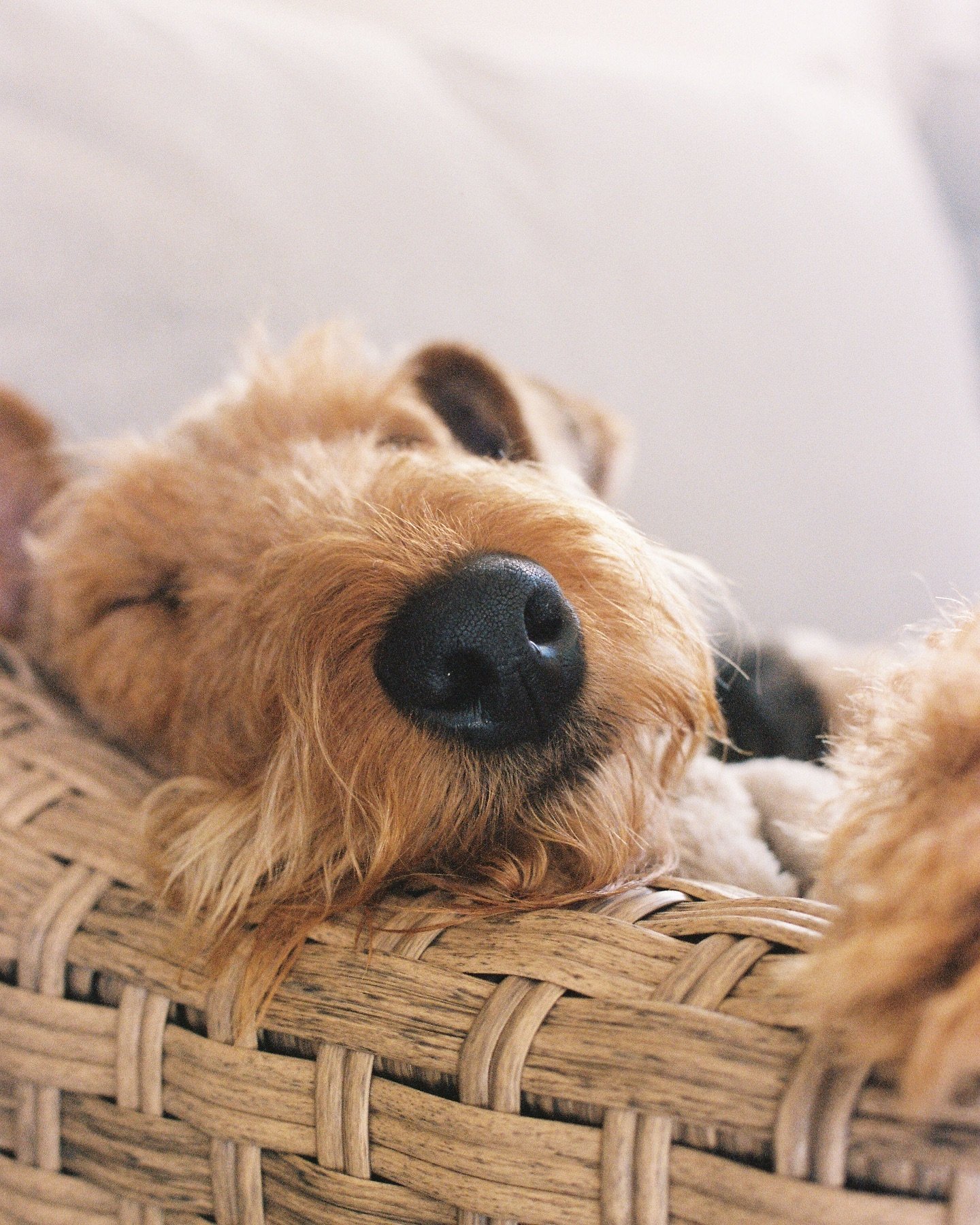 Rainy days done right. #NapaTalley