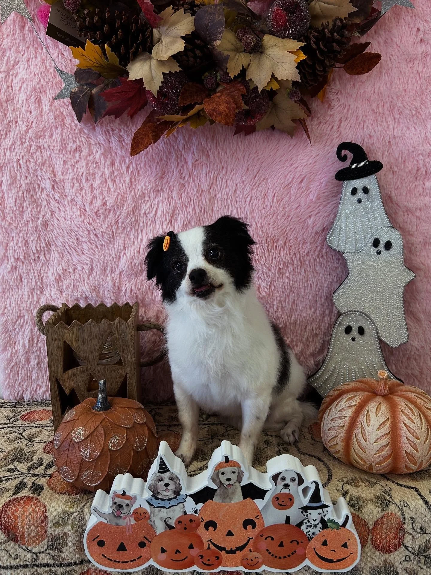 &ldquo;Kai is ready for some spooky fun! 🎃❤️👻