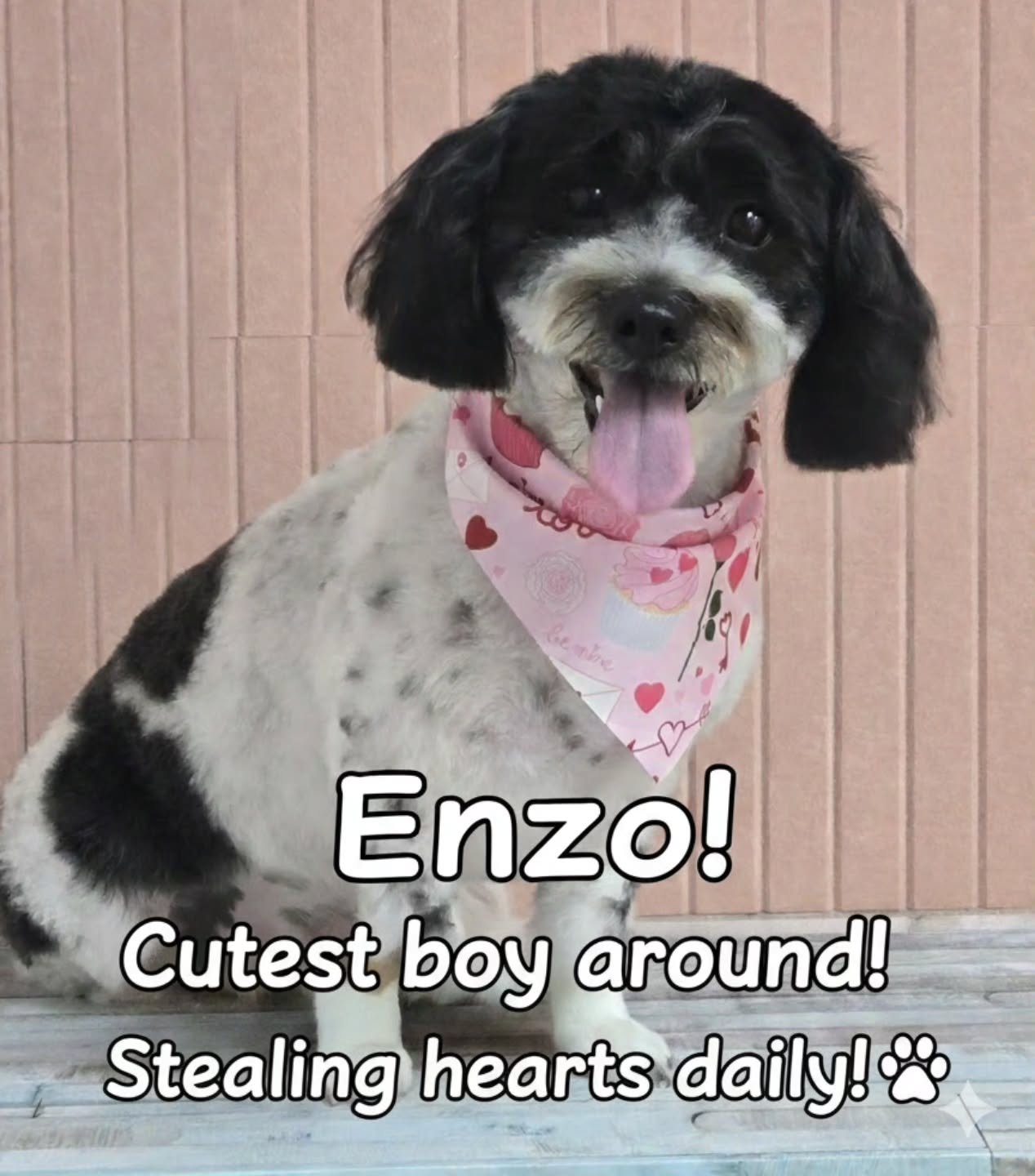 Warning:
Too Cute to Handle 😎