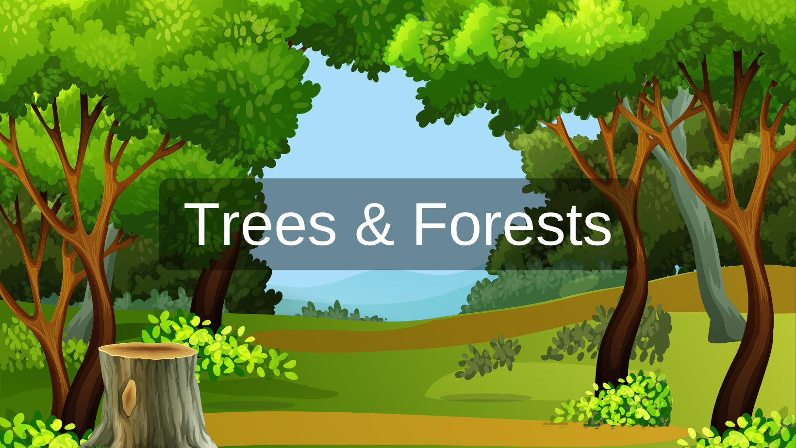 Trees & Forests.png
