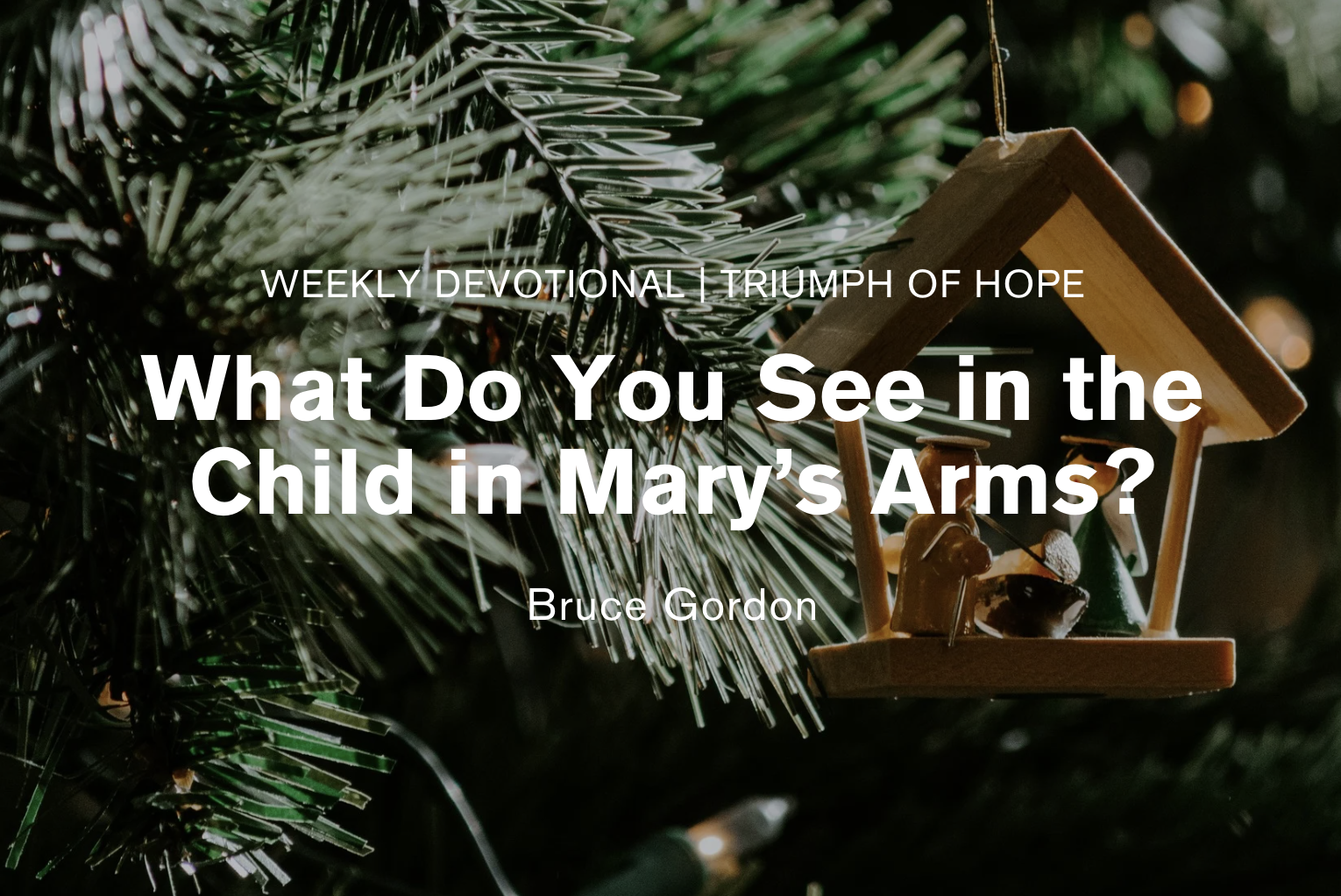 What do You See in the Child in Mary’s Arms?