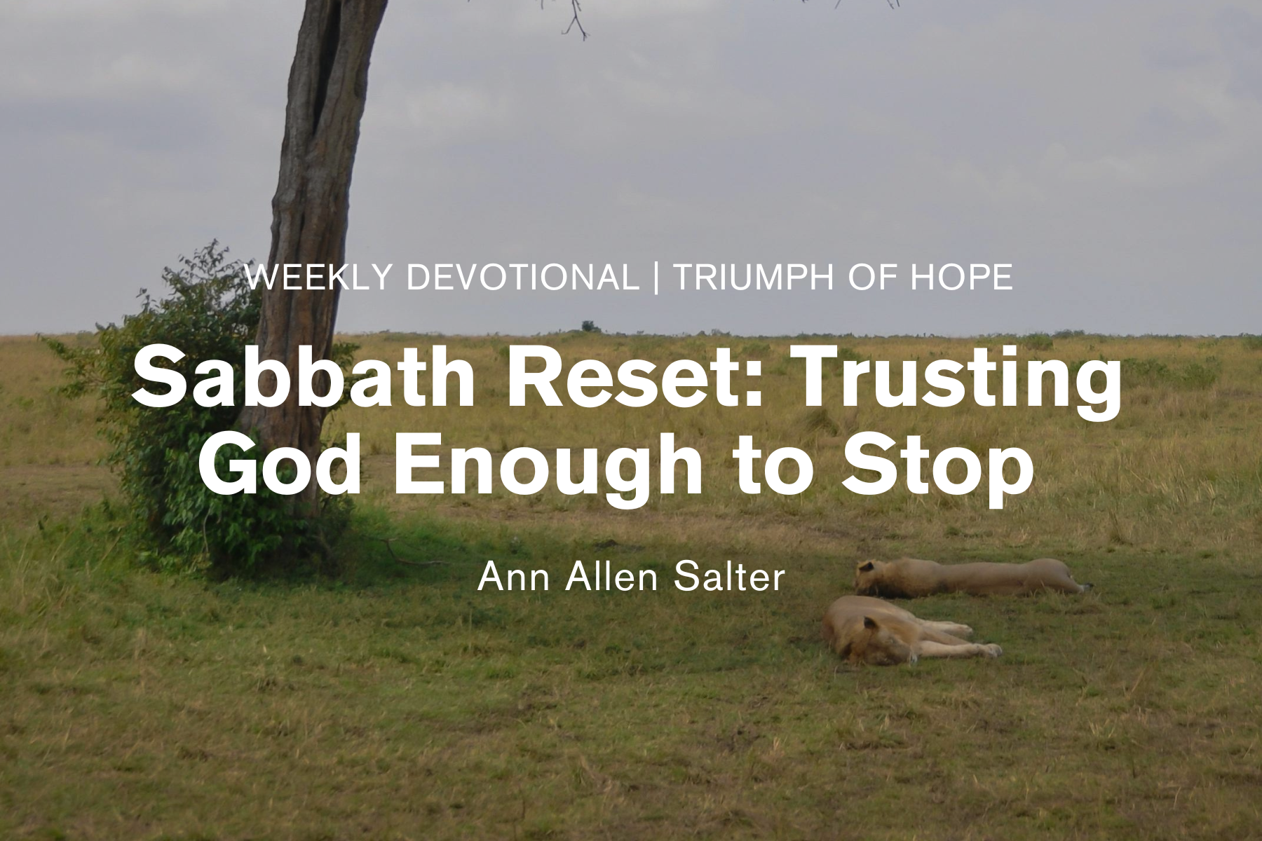 Sabbath Reset: Trusting God Enough to Stop