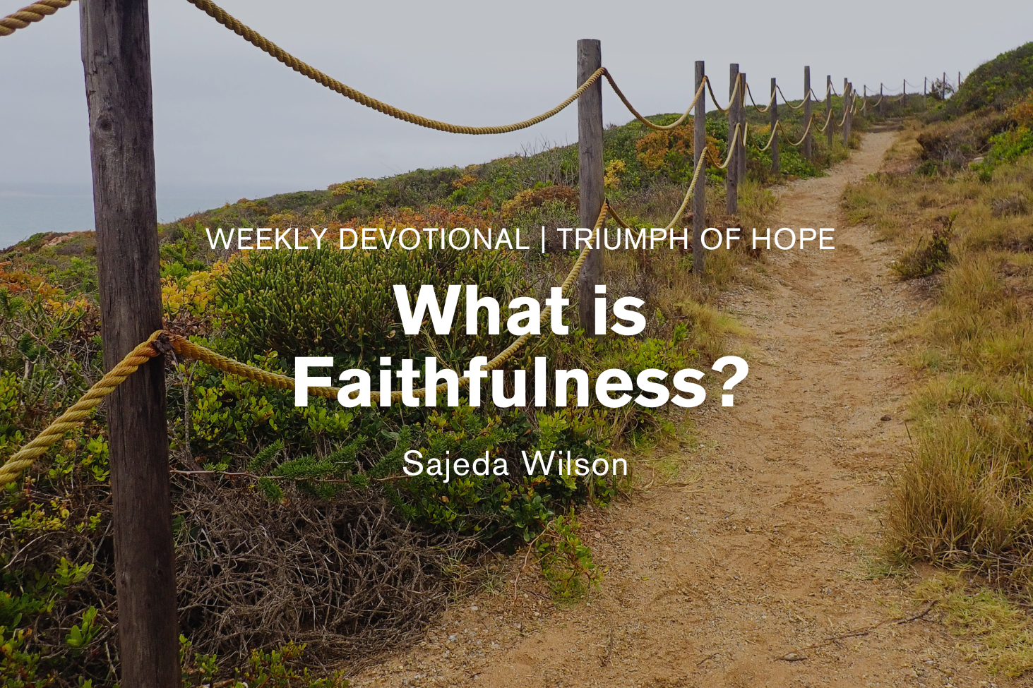 What Is Faithfulness?