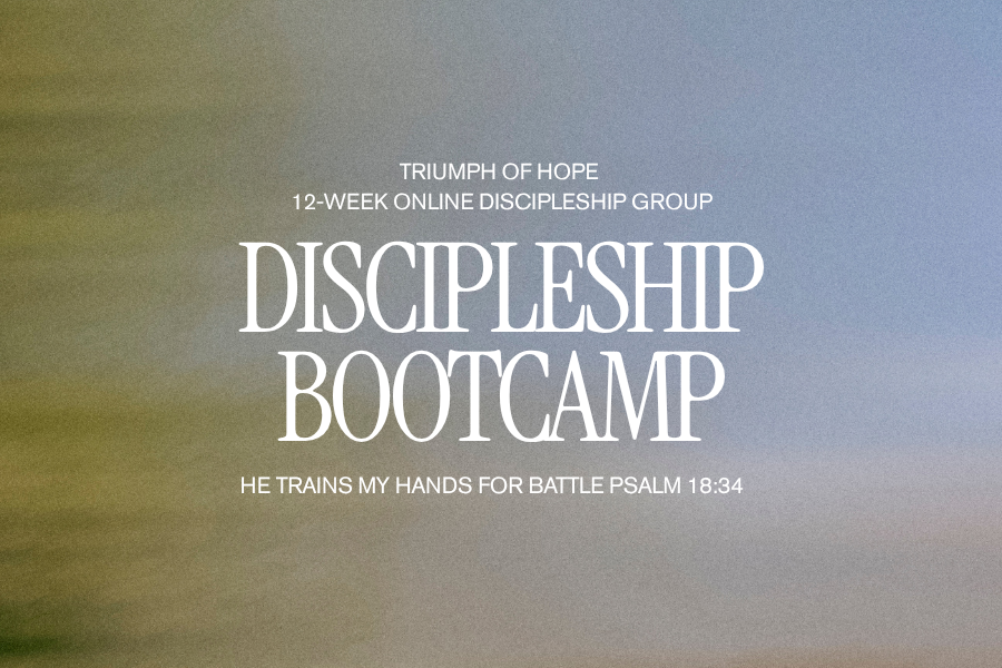 Online: Discipleship Bootcamp  — 12 Week Online Discipleship Group