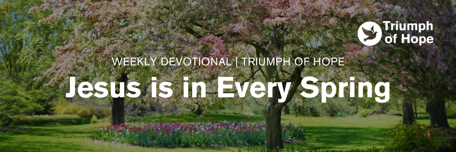 Jesus is in Every Spring | Anne Coleman Hufham | Weekly Devotional ...