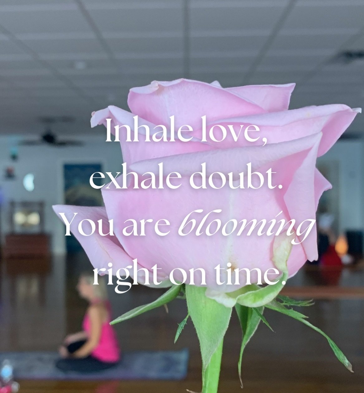 A reminder that you were born to bloom&mdash;no matter how long it takes or how many storms you weather. 🌹

Come breathe, stretch, and blossom with us. Unfold petal by petal, breath by breath. ✨🧘&zwj;♀️Sign up for classes today on our website or ap