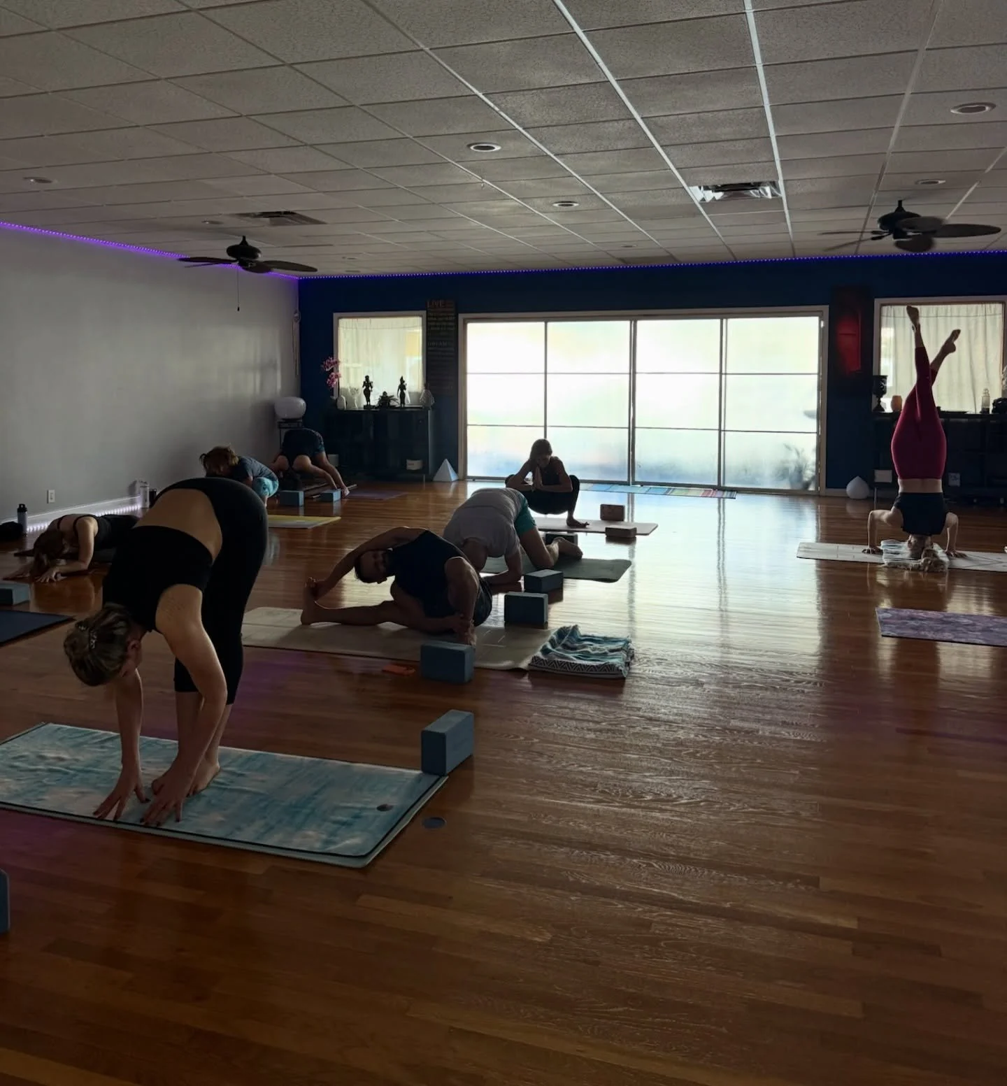 Explore. Play. Expand. 

Bombay Room Yoga is your space to find the flow that works for your body. Each class is designed to bring you deeper into your personal practice and to explore different yoga postures. 

Click the link in our bio to check out