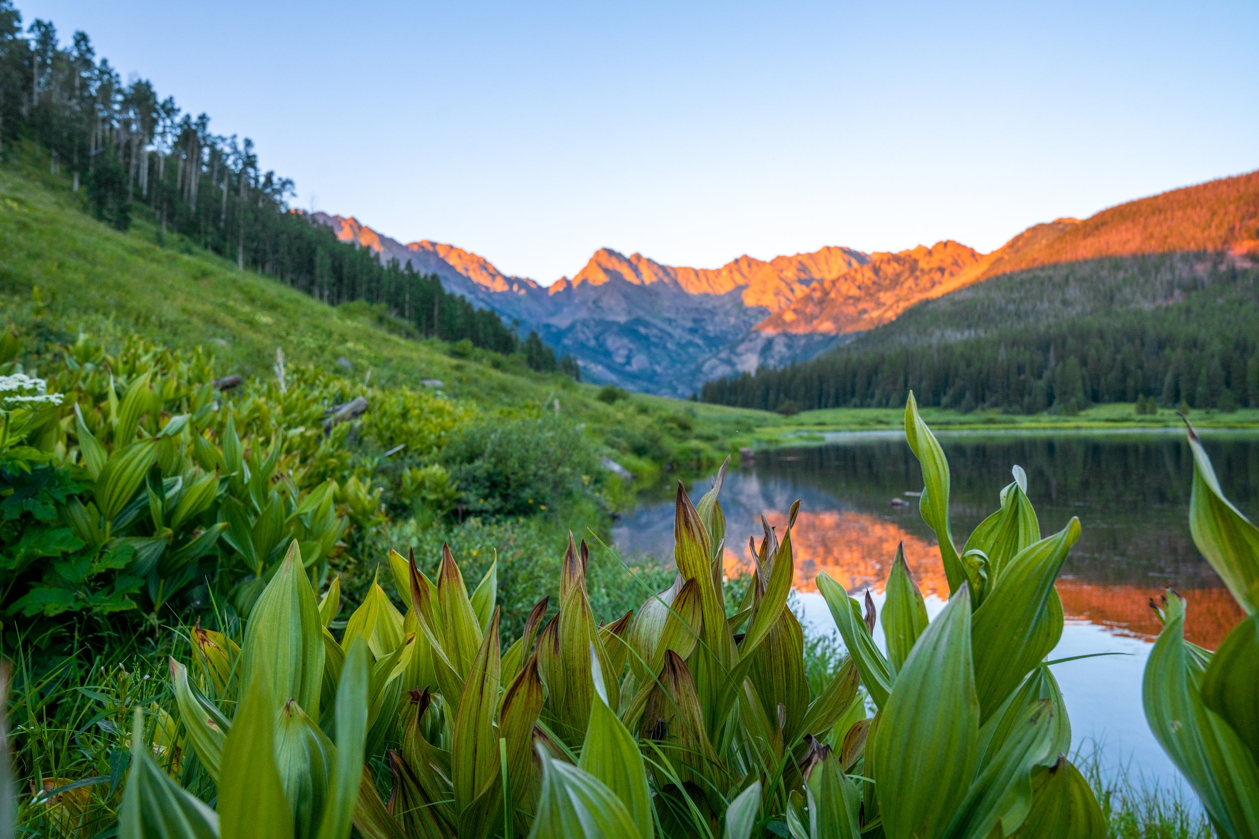 20220717_PineyLake-11.jpg