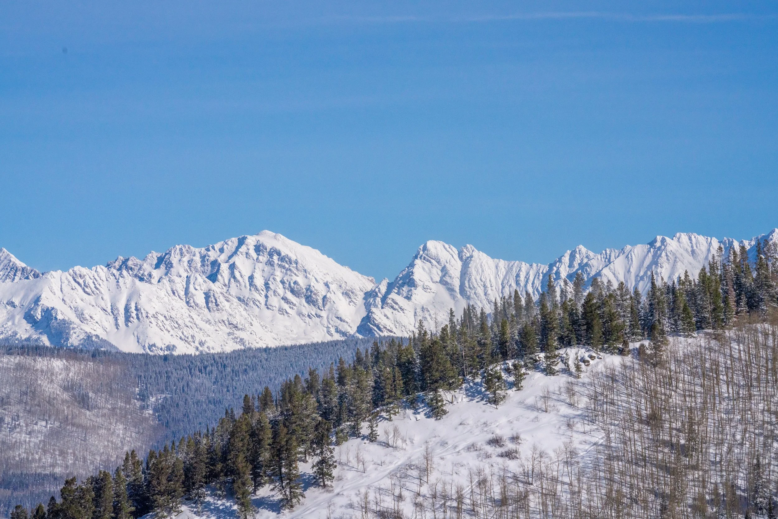20230126_BC_GrouseSkiingandScenic-022.jpg
