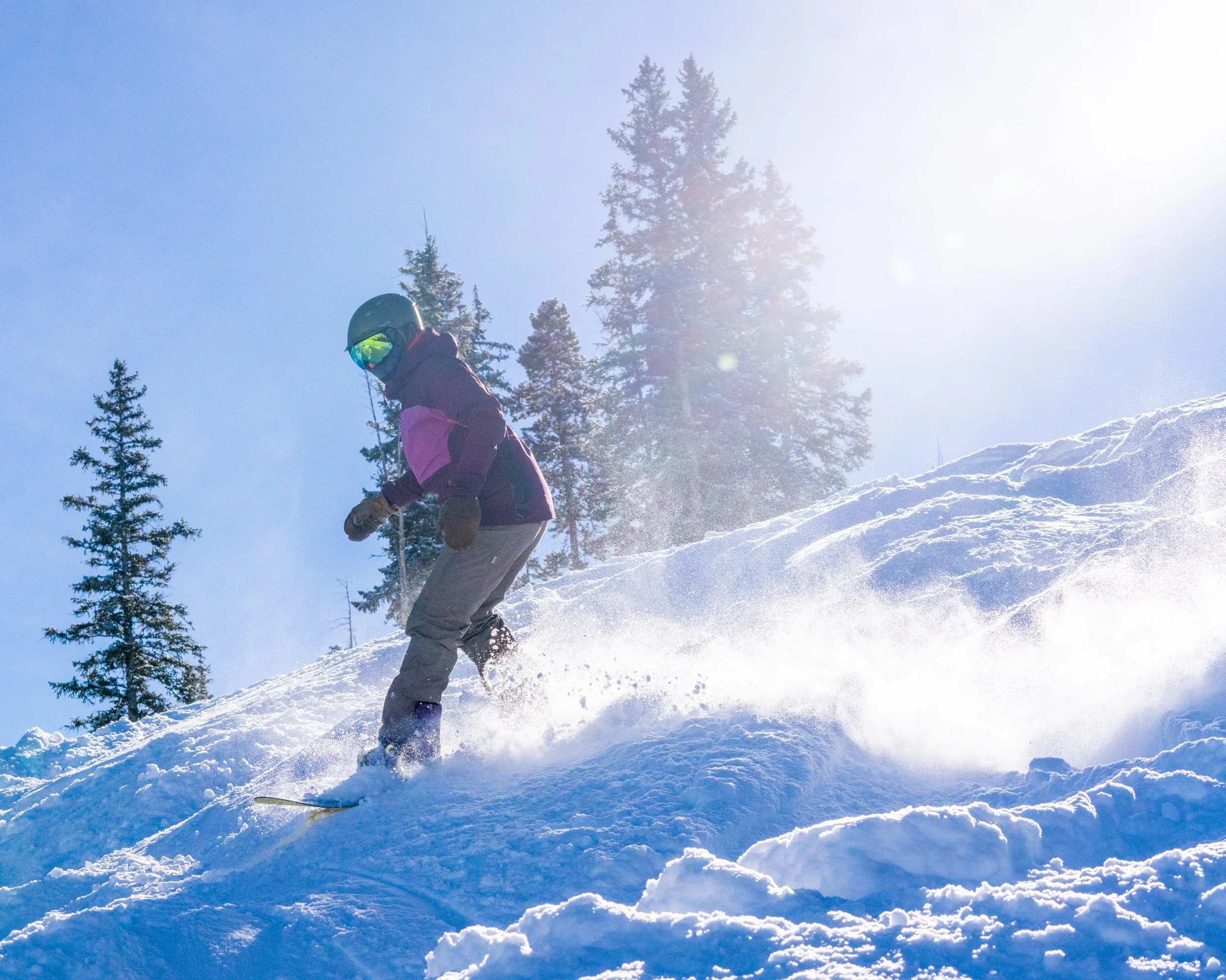 20230126_BC_GrouseSkiingandScenic-274.jpg