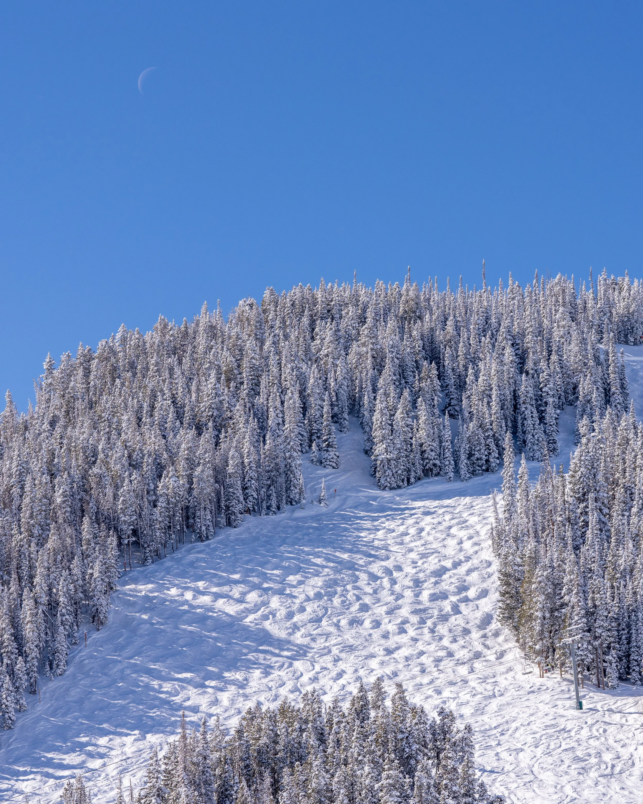20220427_BC_WINTERSELECTS_MILLER-035.jpg
