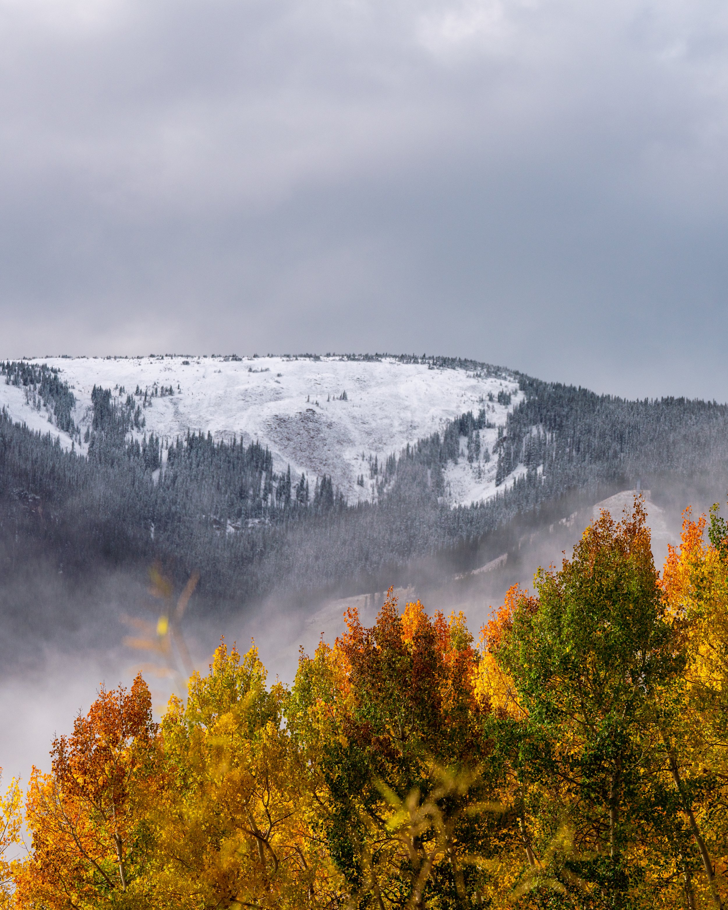 2022 BC Fall Scenics-531.jpg