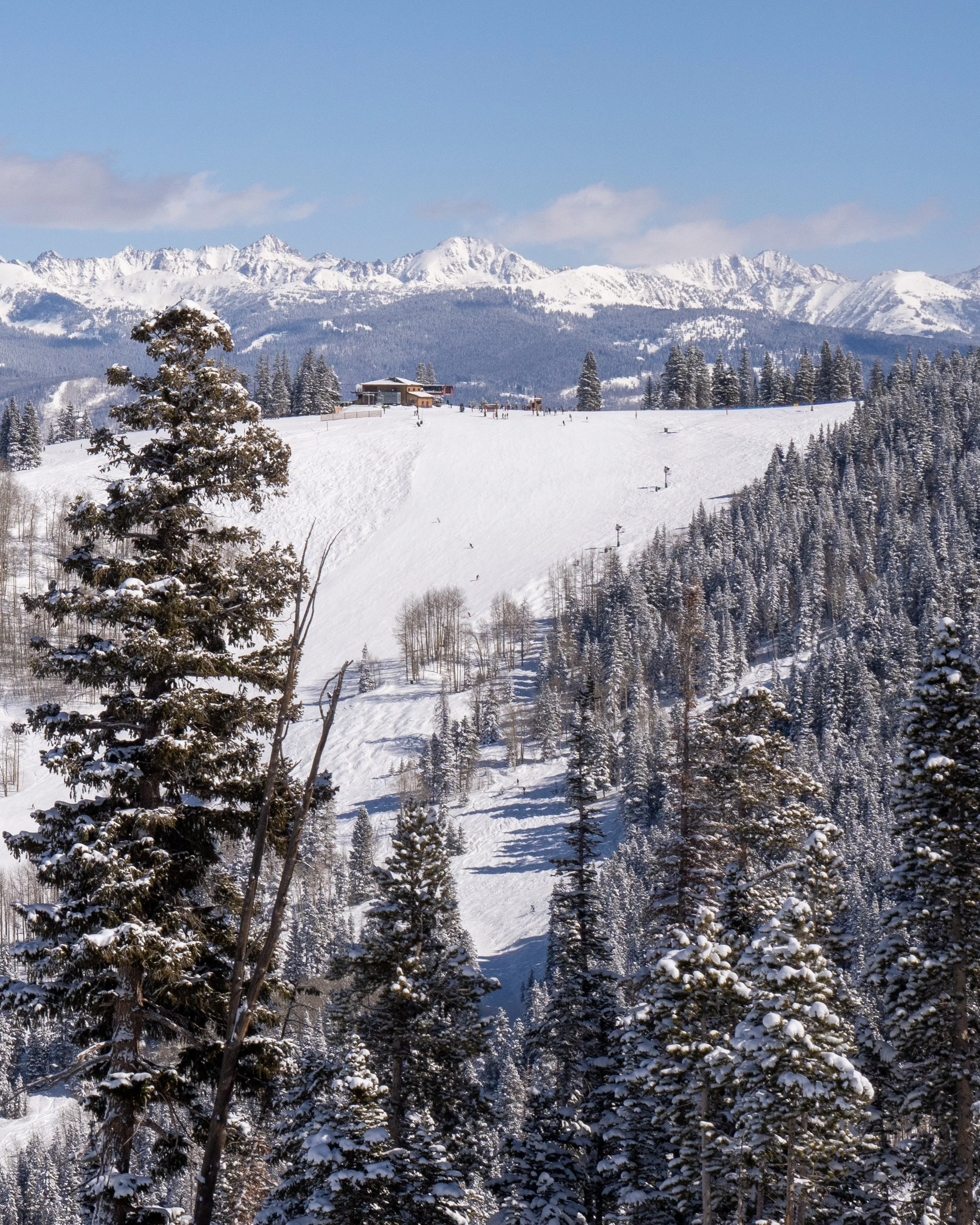 20220427_BC_WINTERSELECTS_MILLER-025.jpg