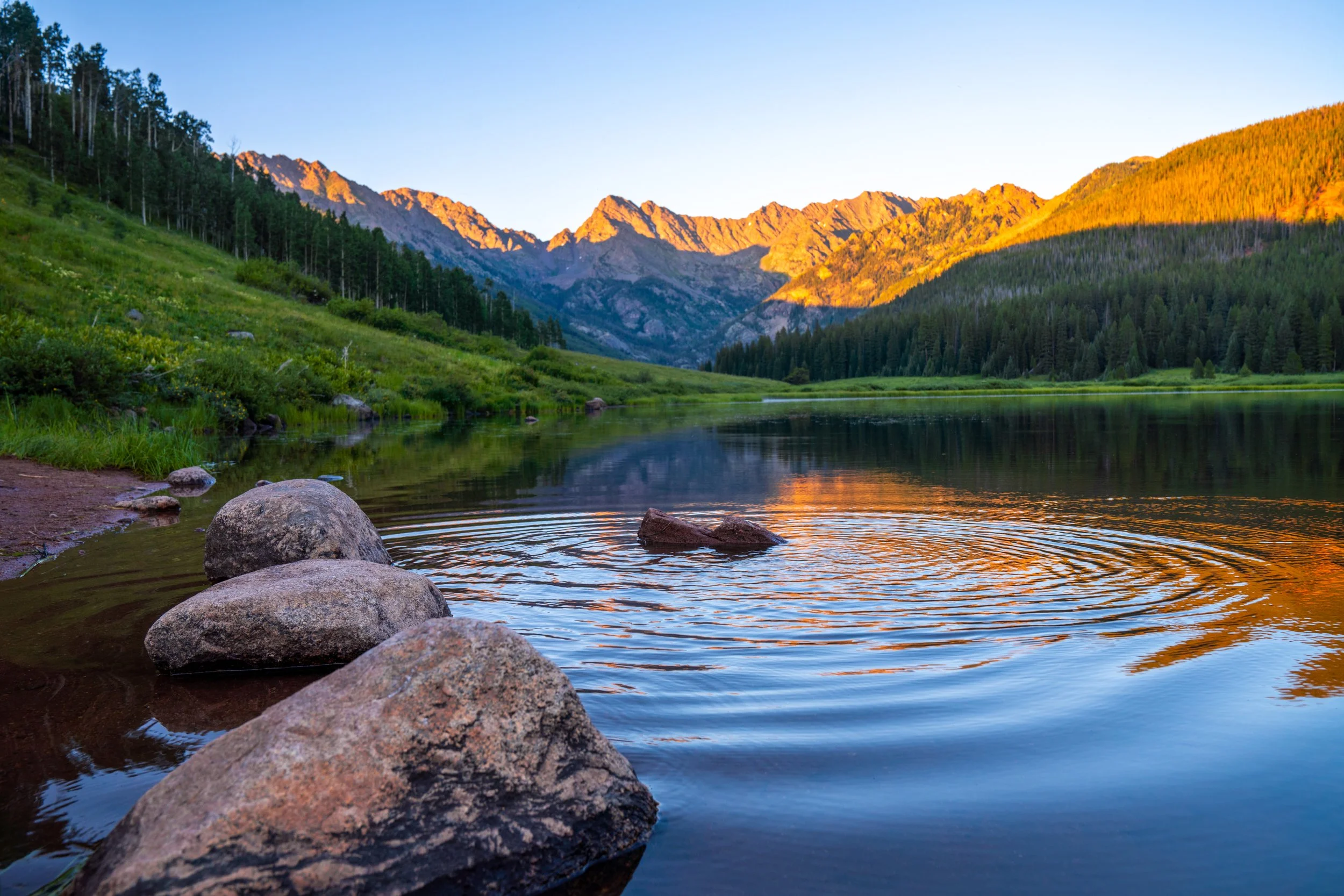 20220717_PineyLake-13.jpg