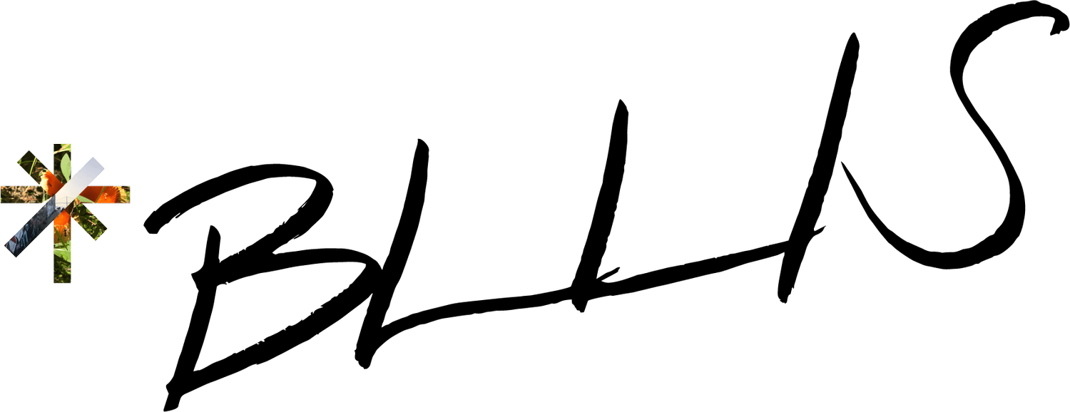 Bring Life Love Into Spaces