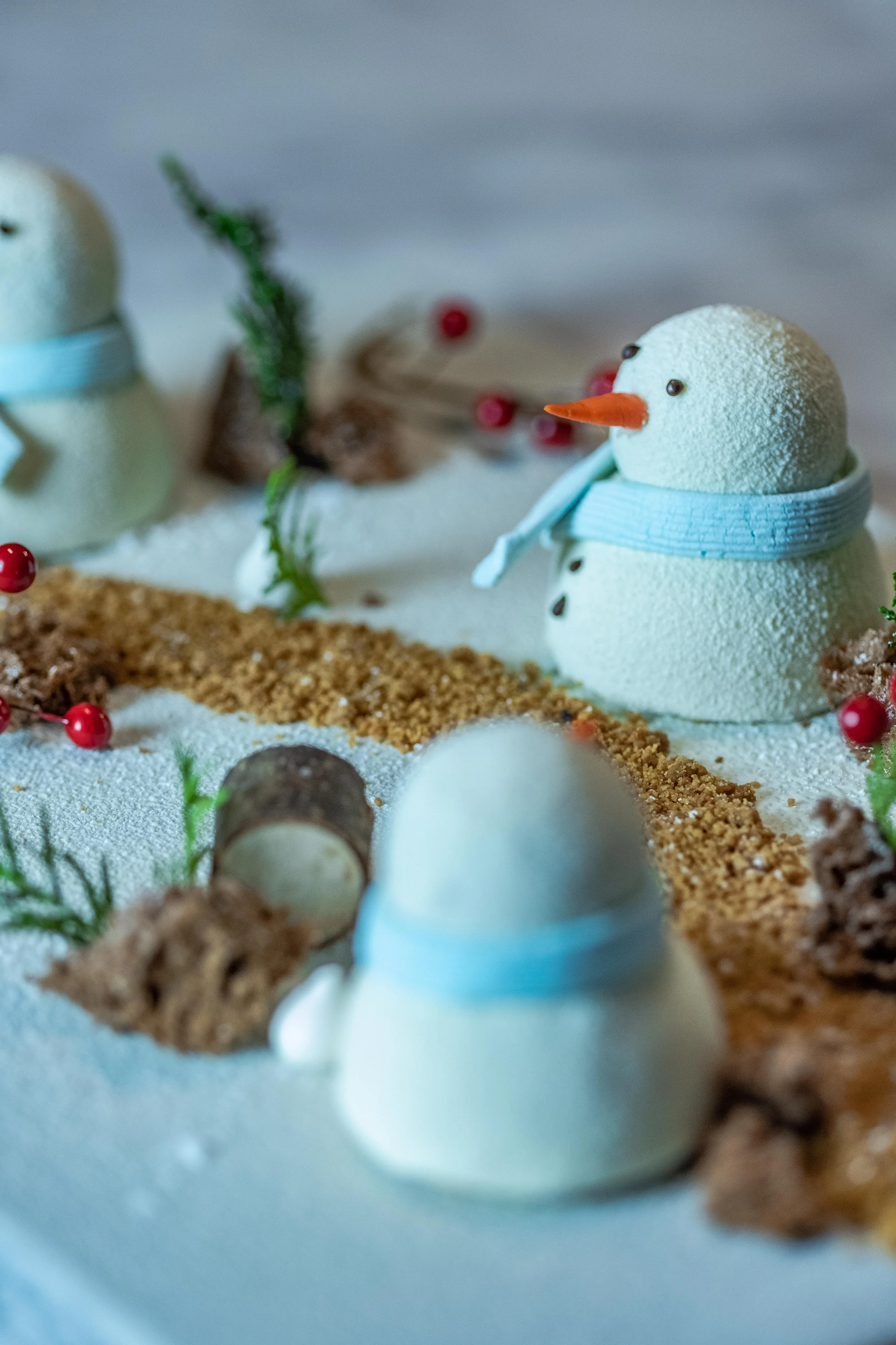 Seasonal Entremet Pack