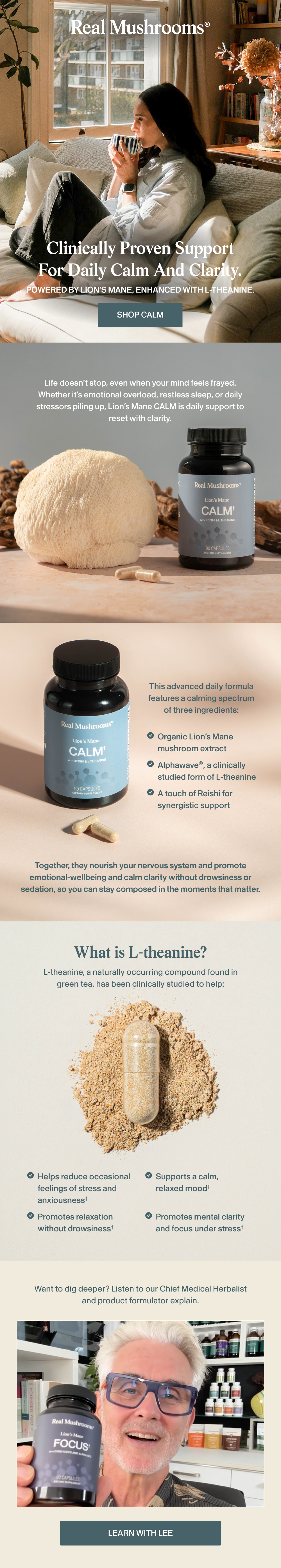 Product launch email design