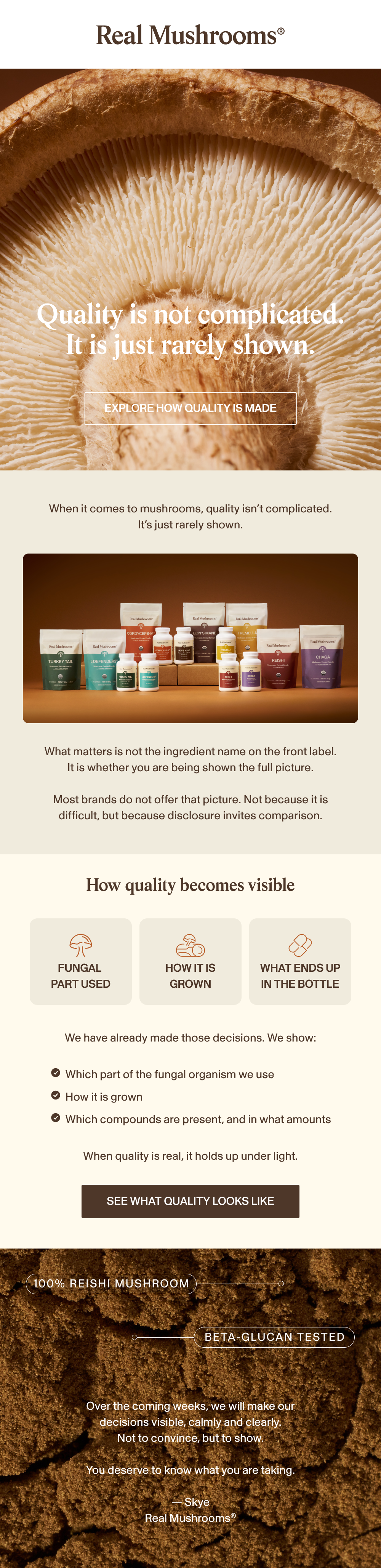 Real Mushrooms email campaign design