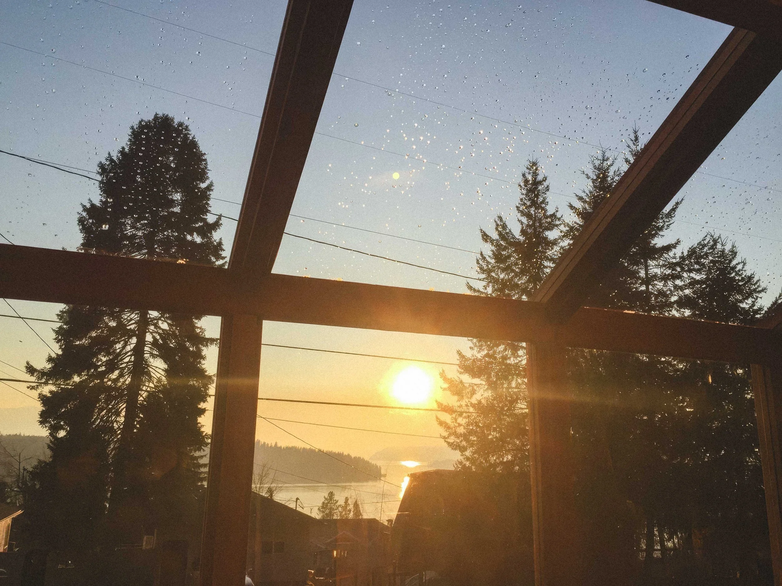 commercial greenhouses