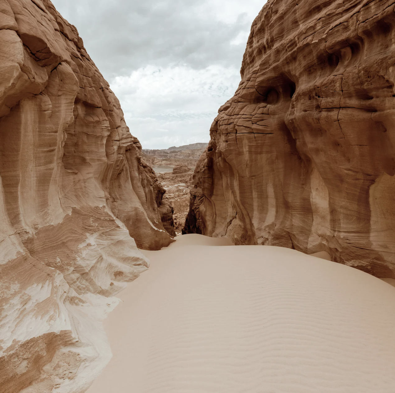 Screenshot 2026-04-03 at 12.34.55 PM.png