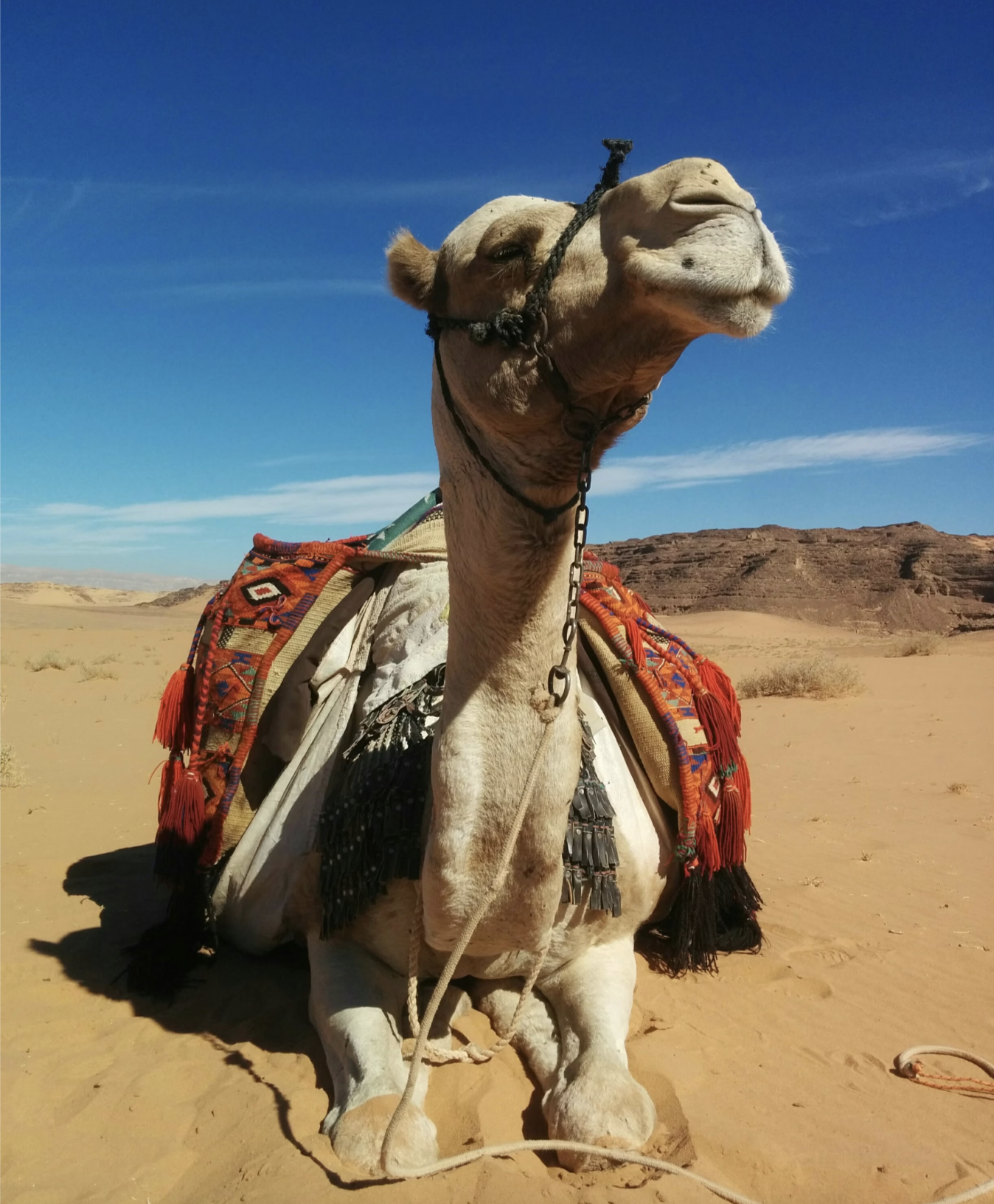 Screenshot 2026-04-03 at 10.57.06 AM.png