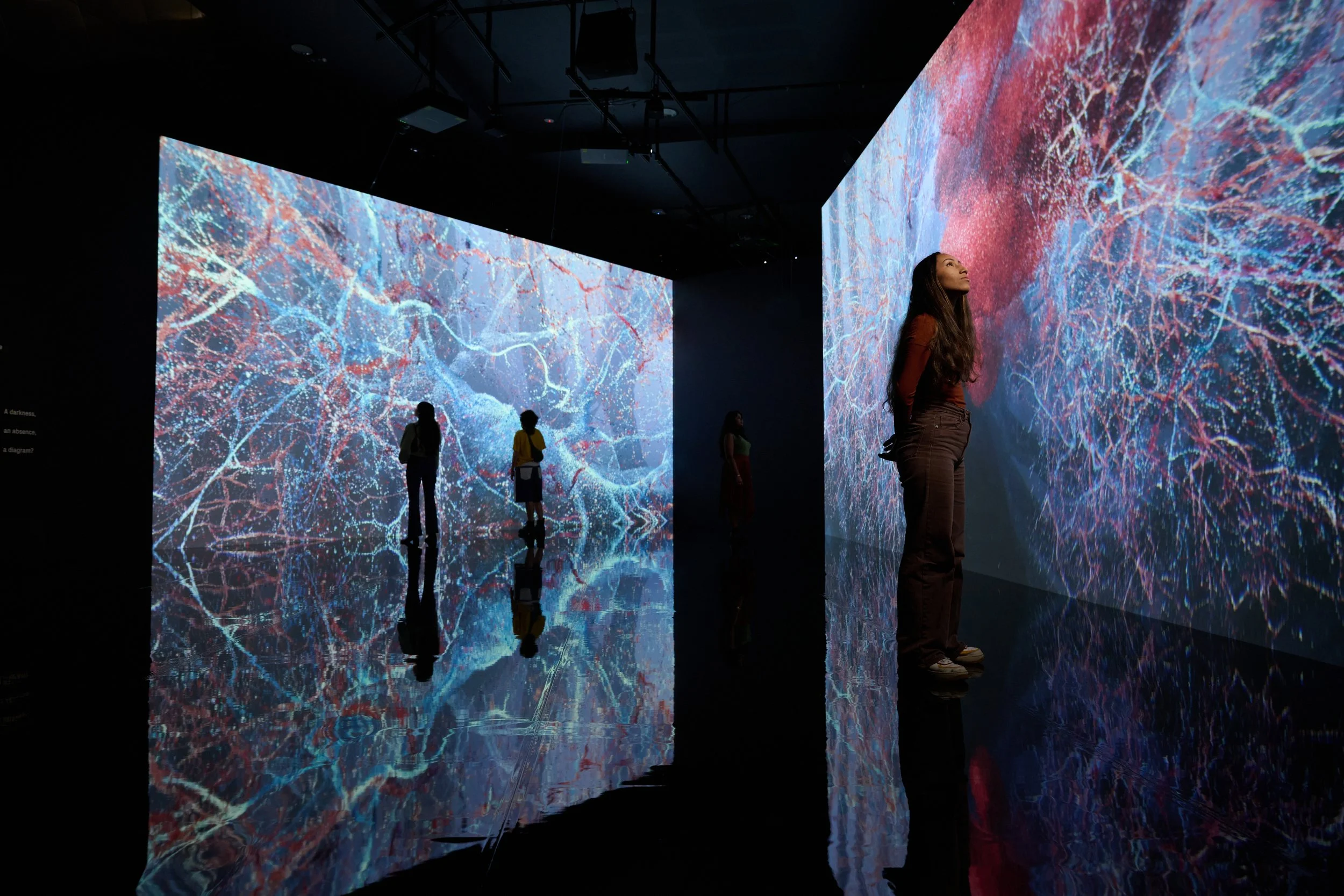 Image credits: Marshmallow Laser Feast: Works of Nature, ACMI, 2023. Image: Eugene Hyland, courtesy of Marshmallow Laser Feast and ACMI.