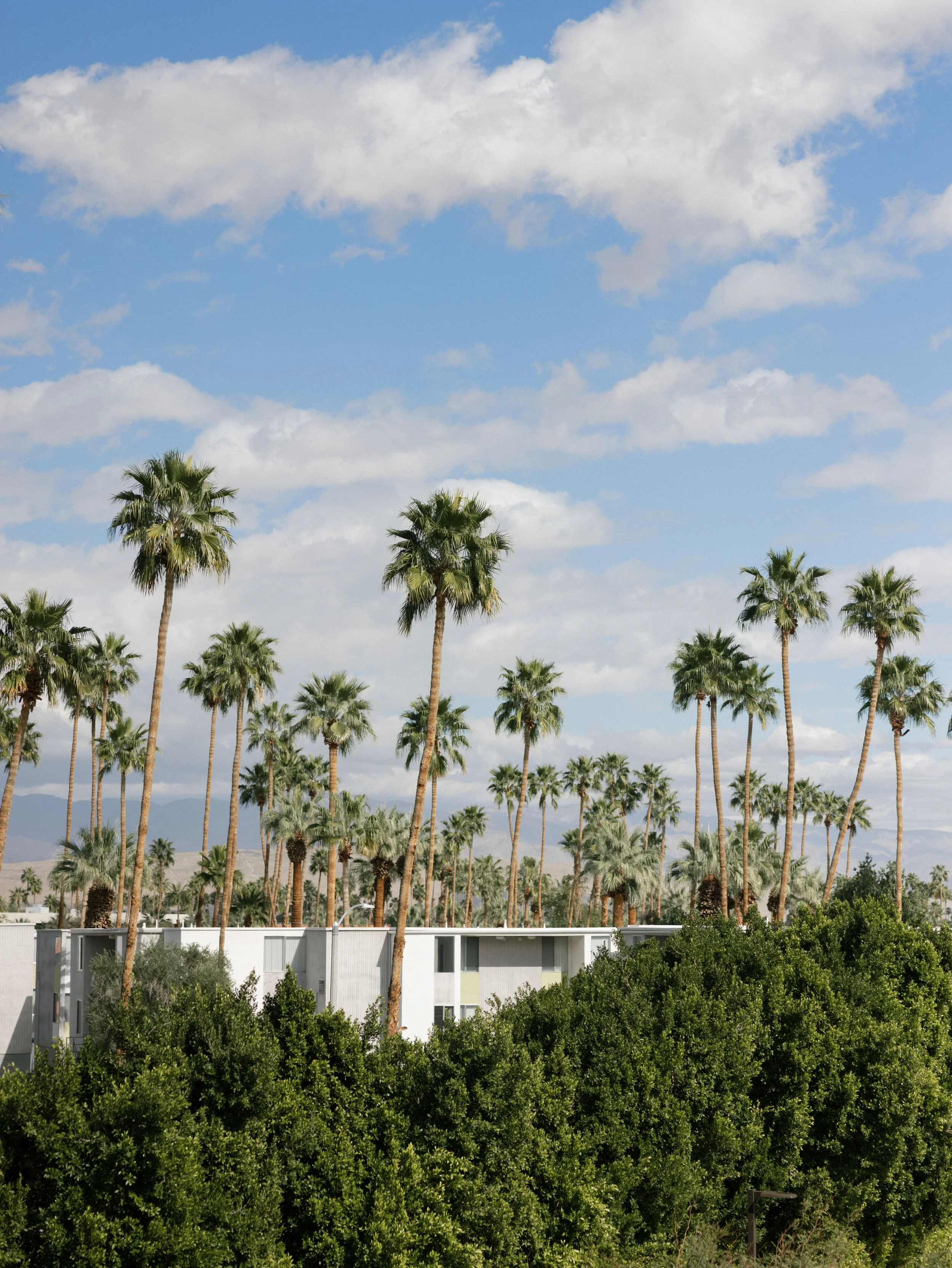 A row of tall palm trees in front of a modern, white residential building with lush green bushes in the foreground, under a partly cloudy sky.