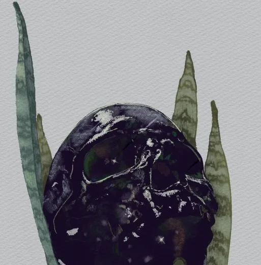 Screenshot 2024-05-01 095347.jpg
